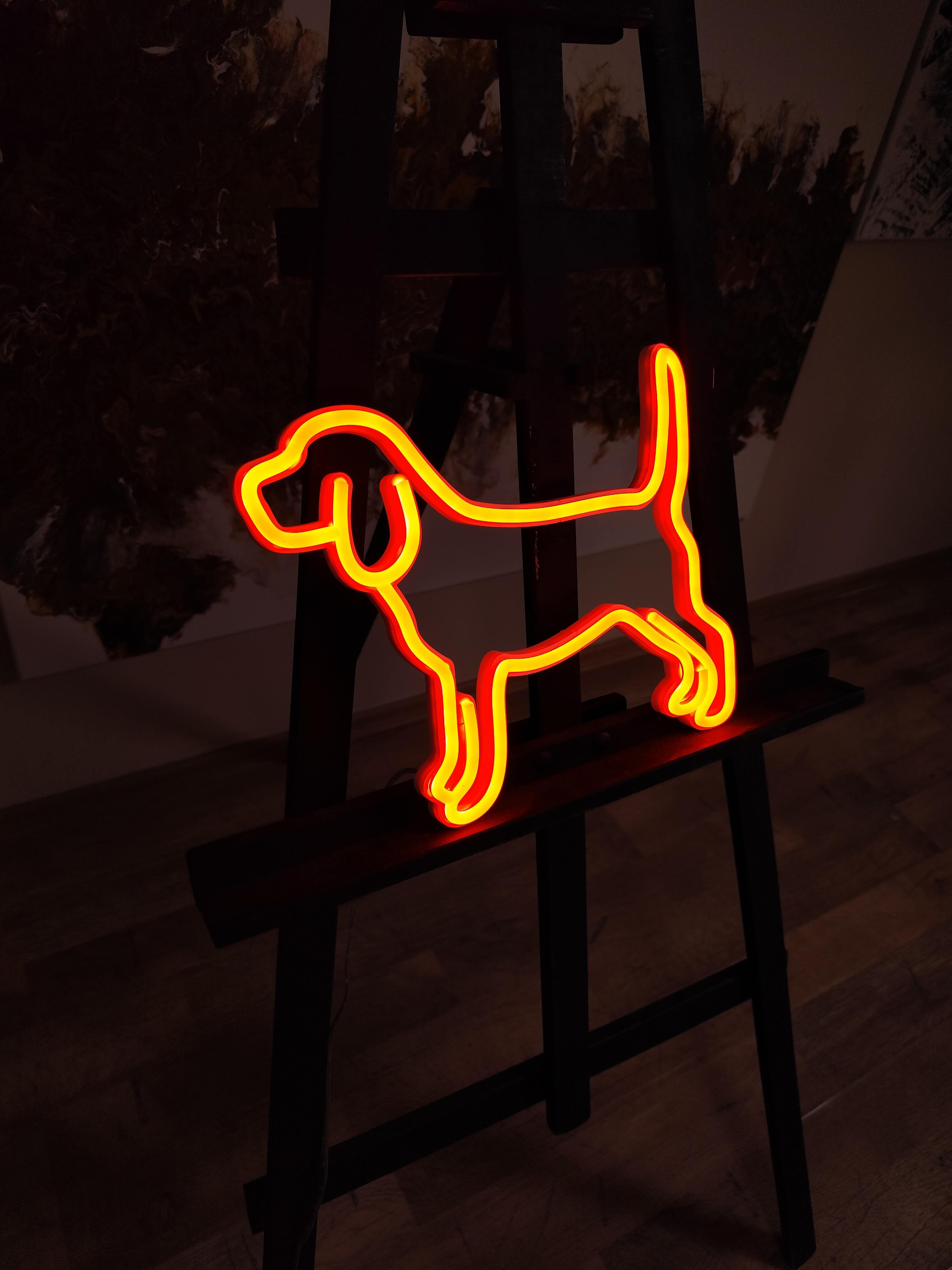 Beagle Neon LED