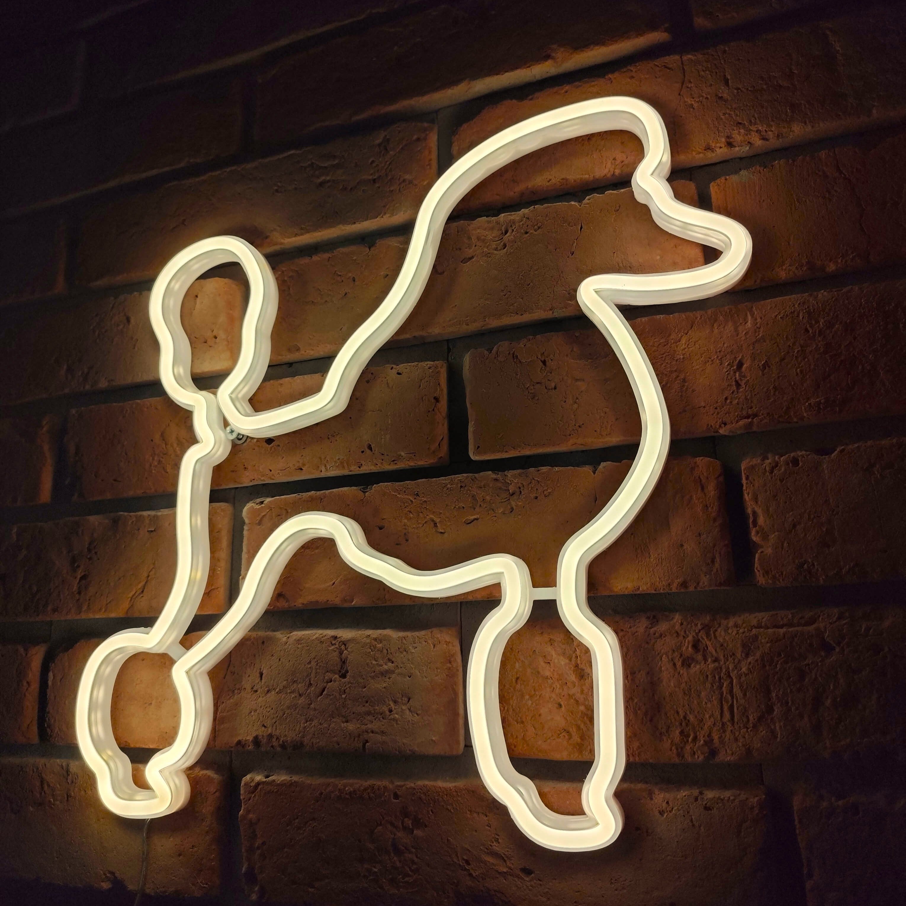 Pudel Neon LED