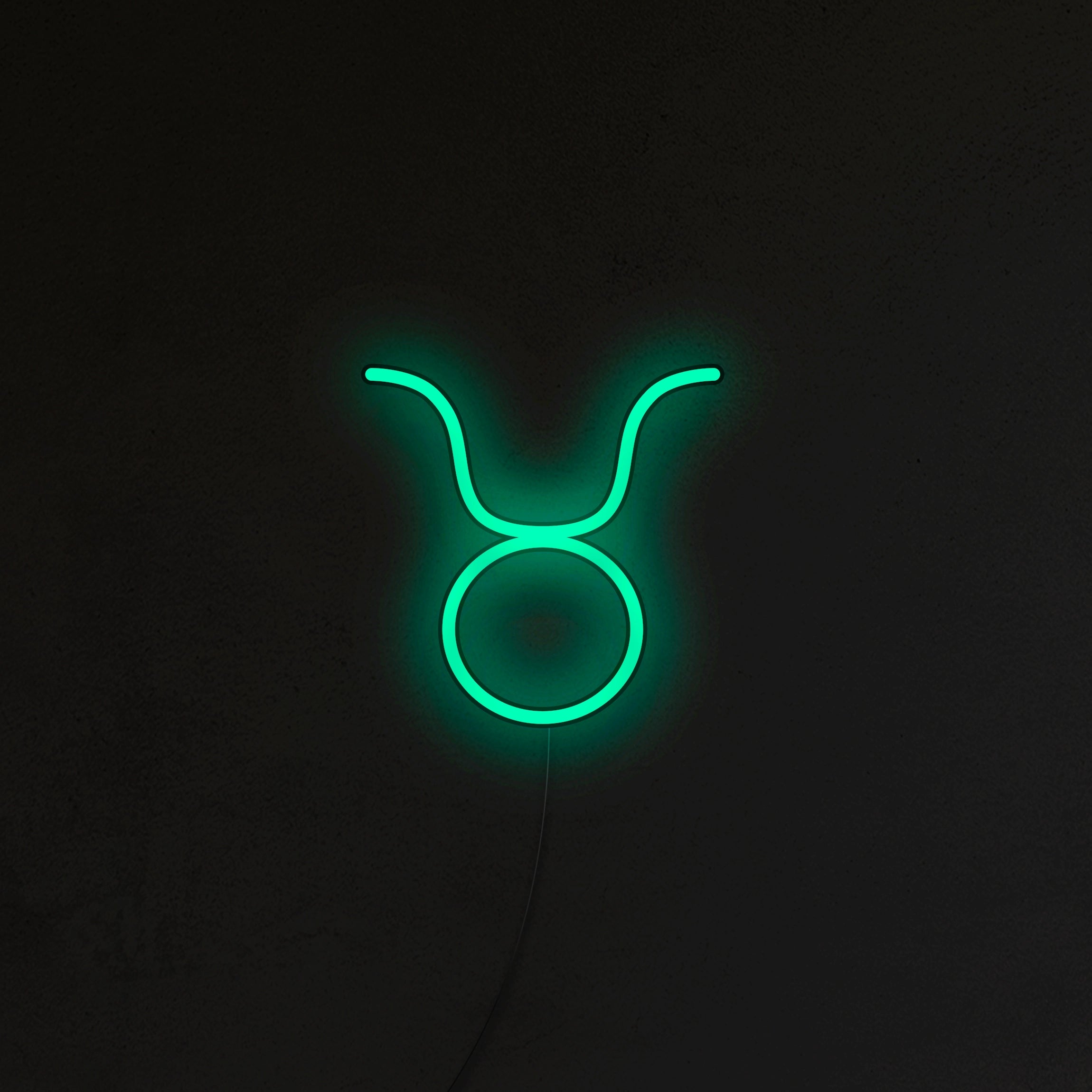 Znak Zodiaku Neon LED - Byk