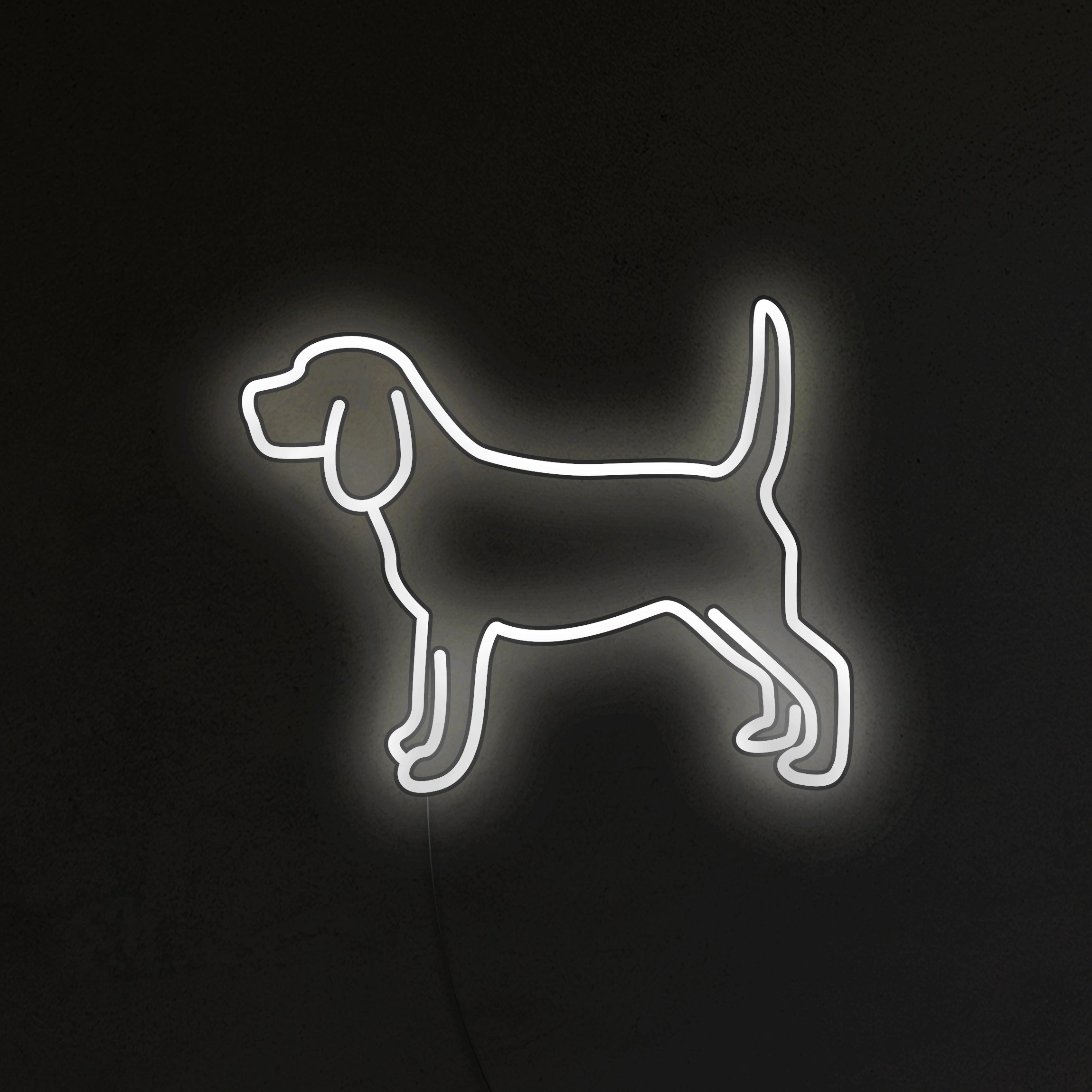 Beagle Neon LED