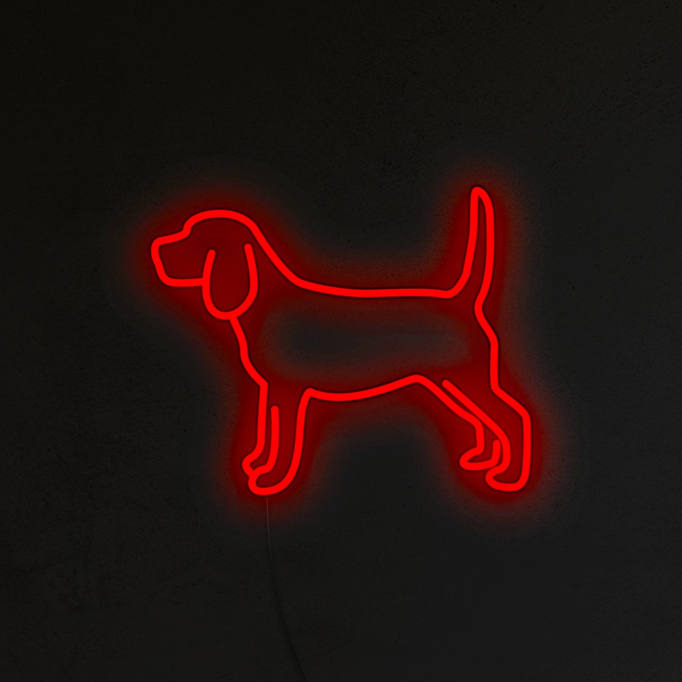 Beagle Neon LED