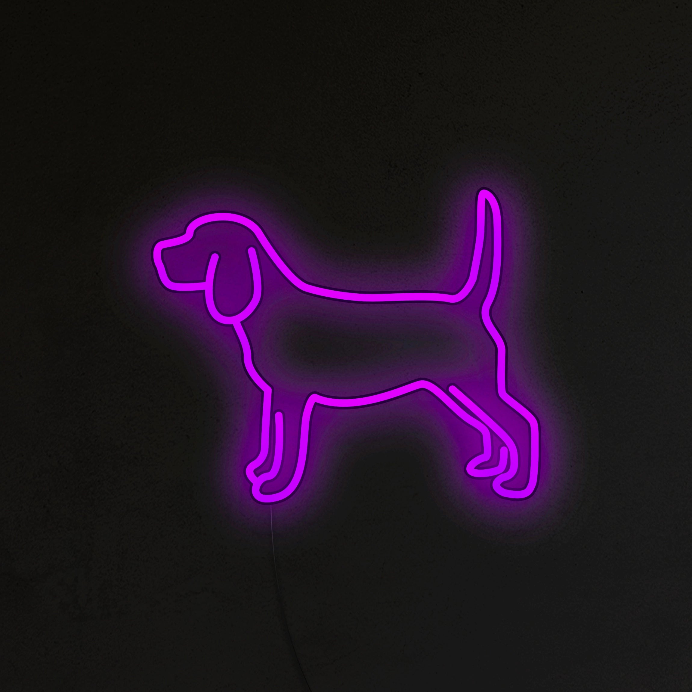 Beagle Neon LED