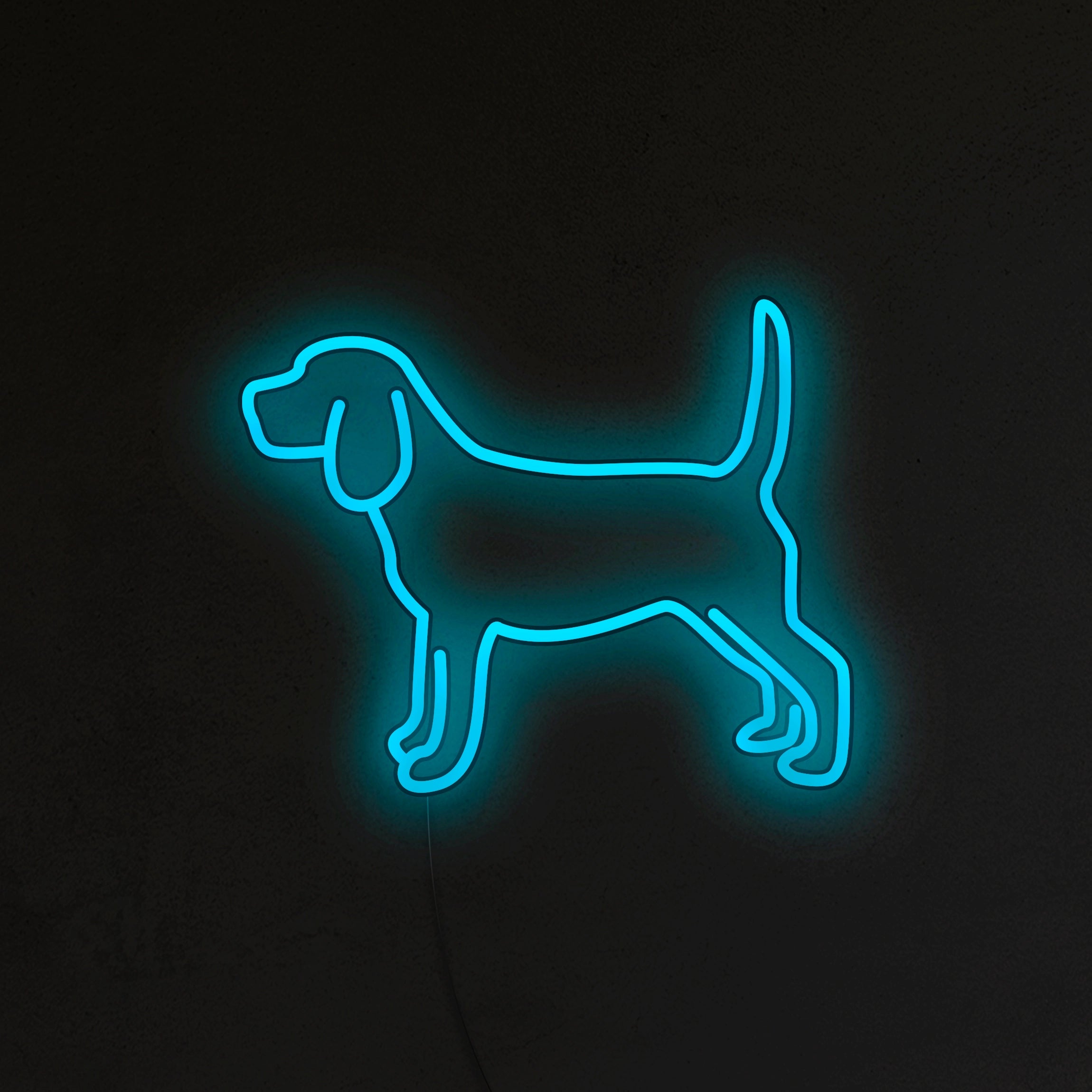 Beagle Neon LED