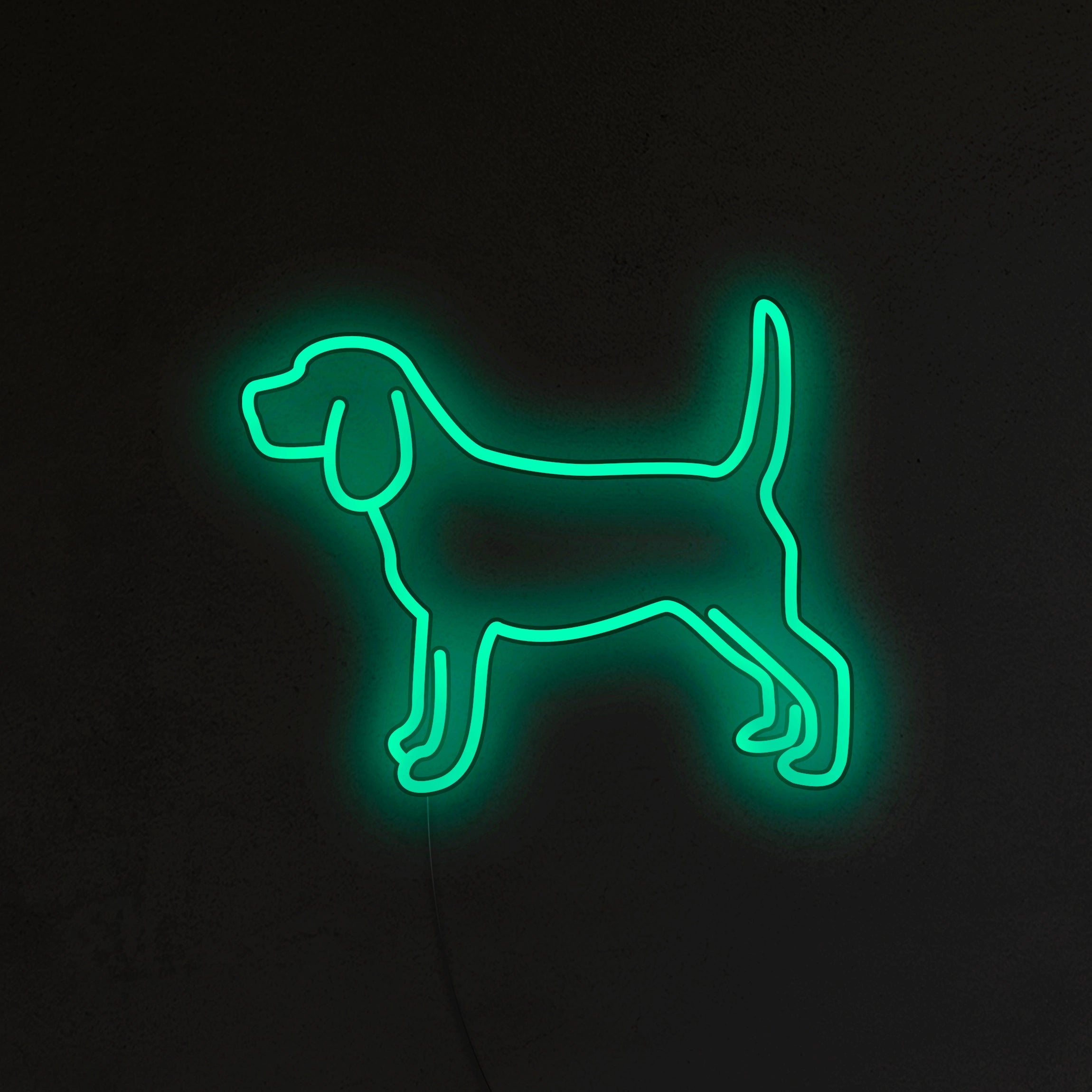 Beagle Neon LED