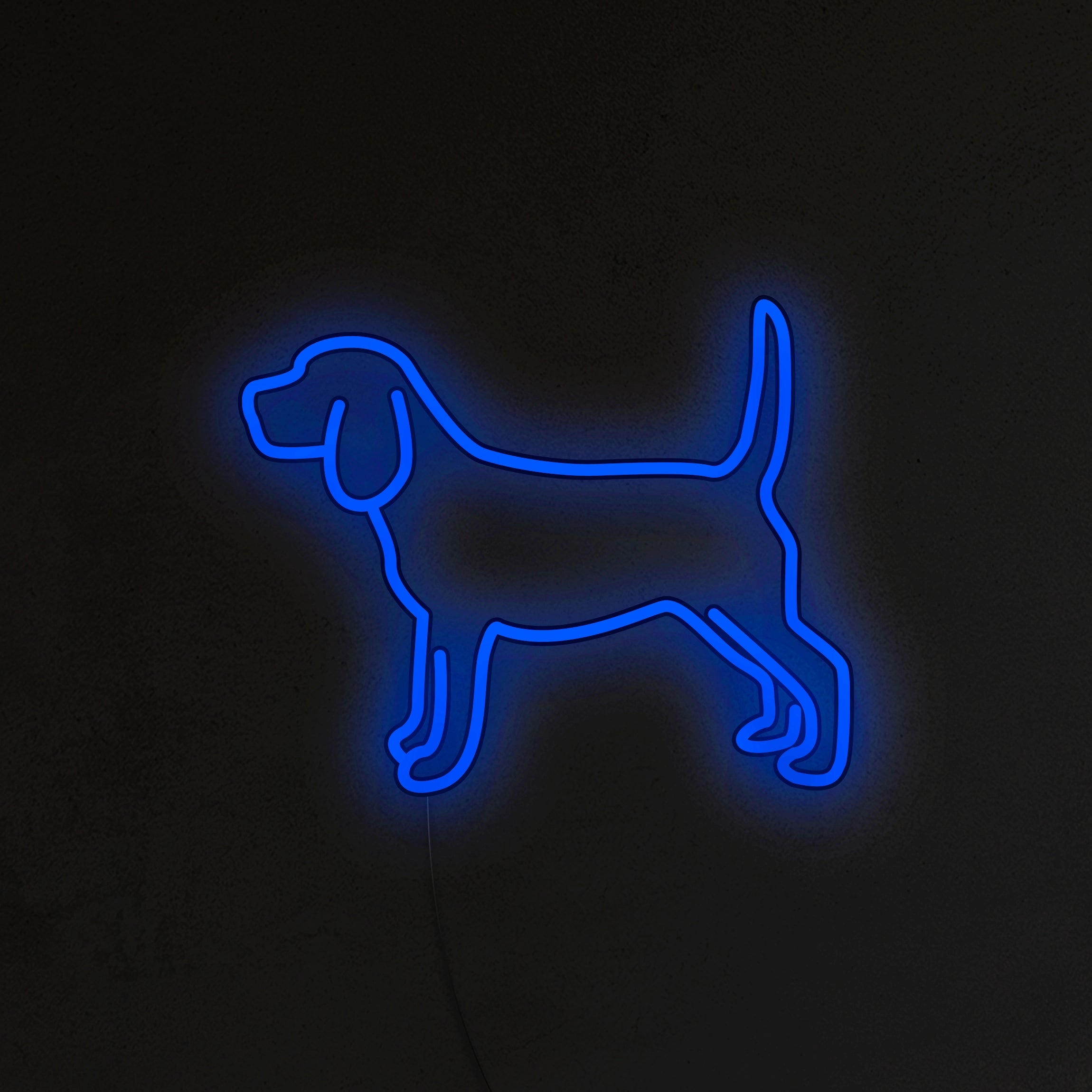 Beagle Neon LED