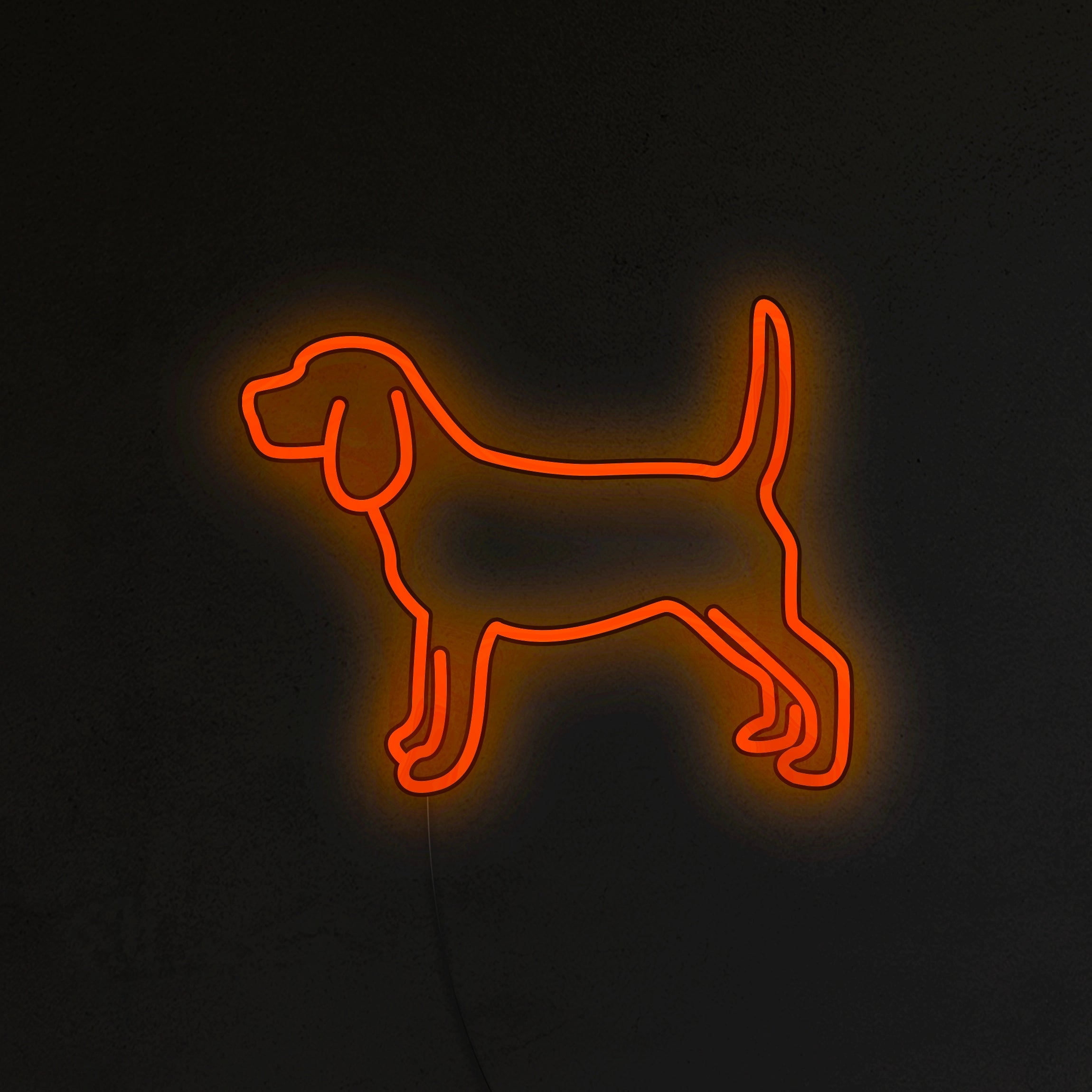 Beagle Neon LED