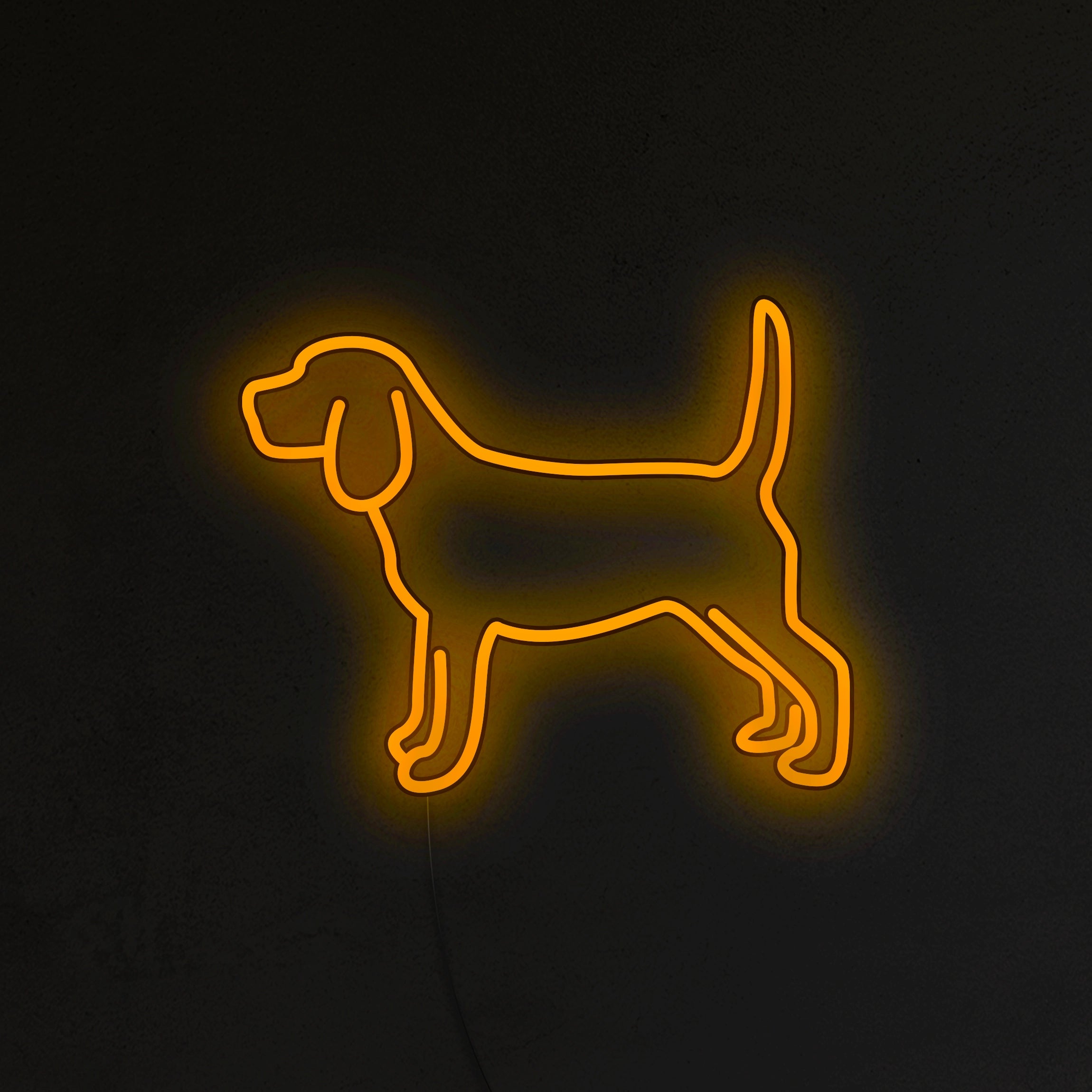 Beagle Neon LED