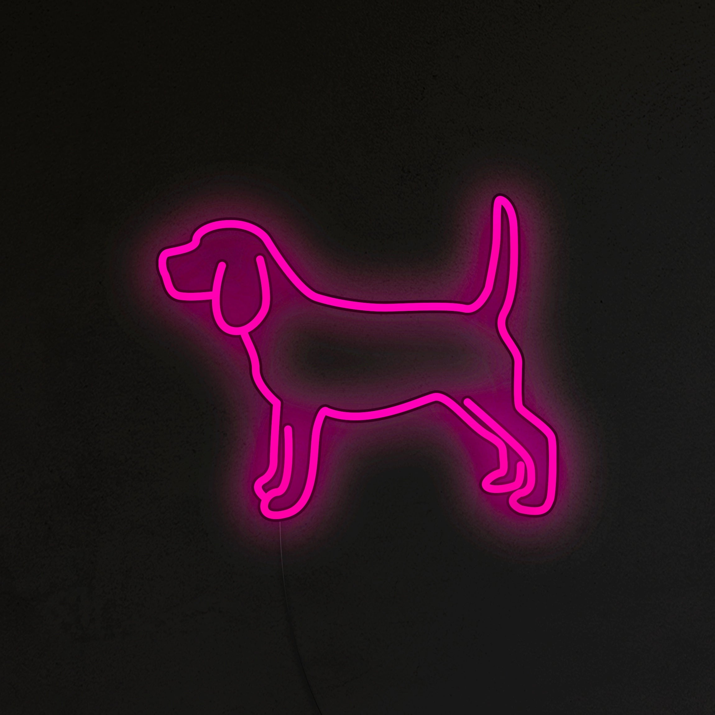 Beagle Neon LED