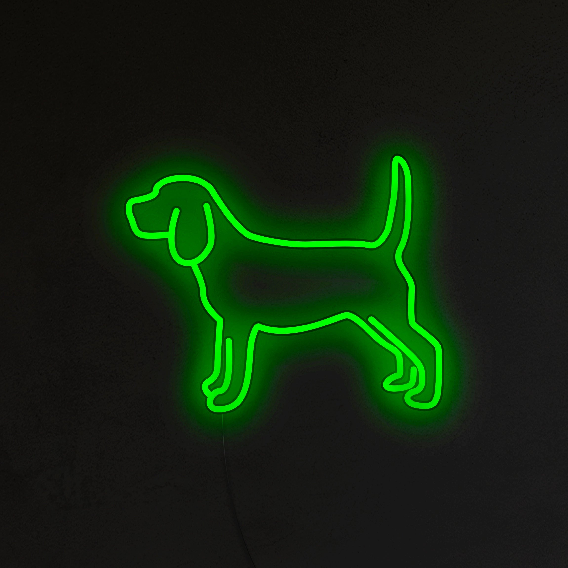 Beagle Neon LED