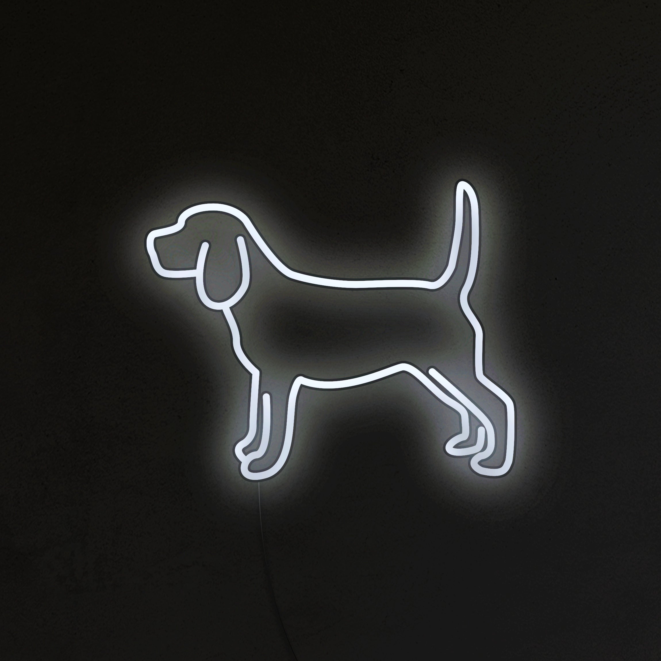 Beagle Neon LED