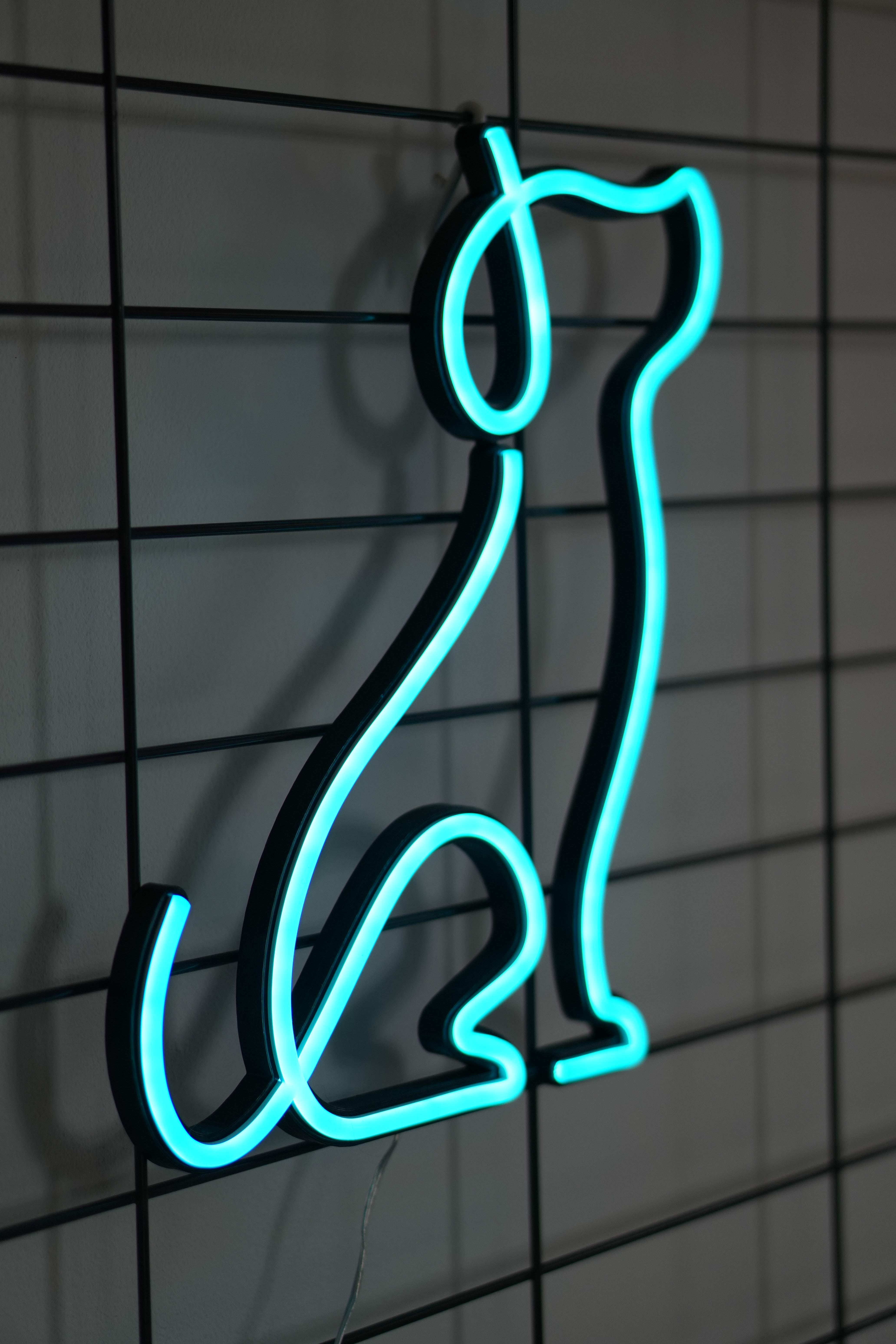 Pies Picasso Neon LED