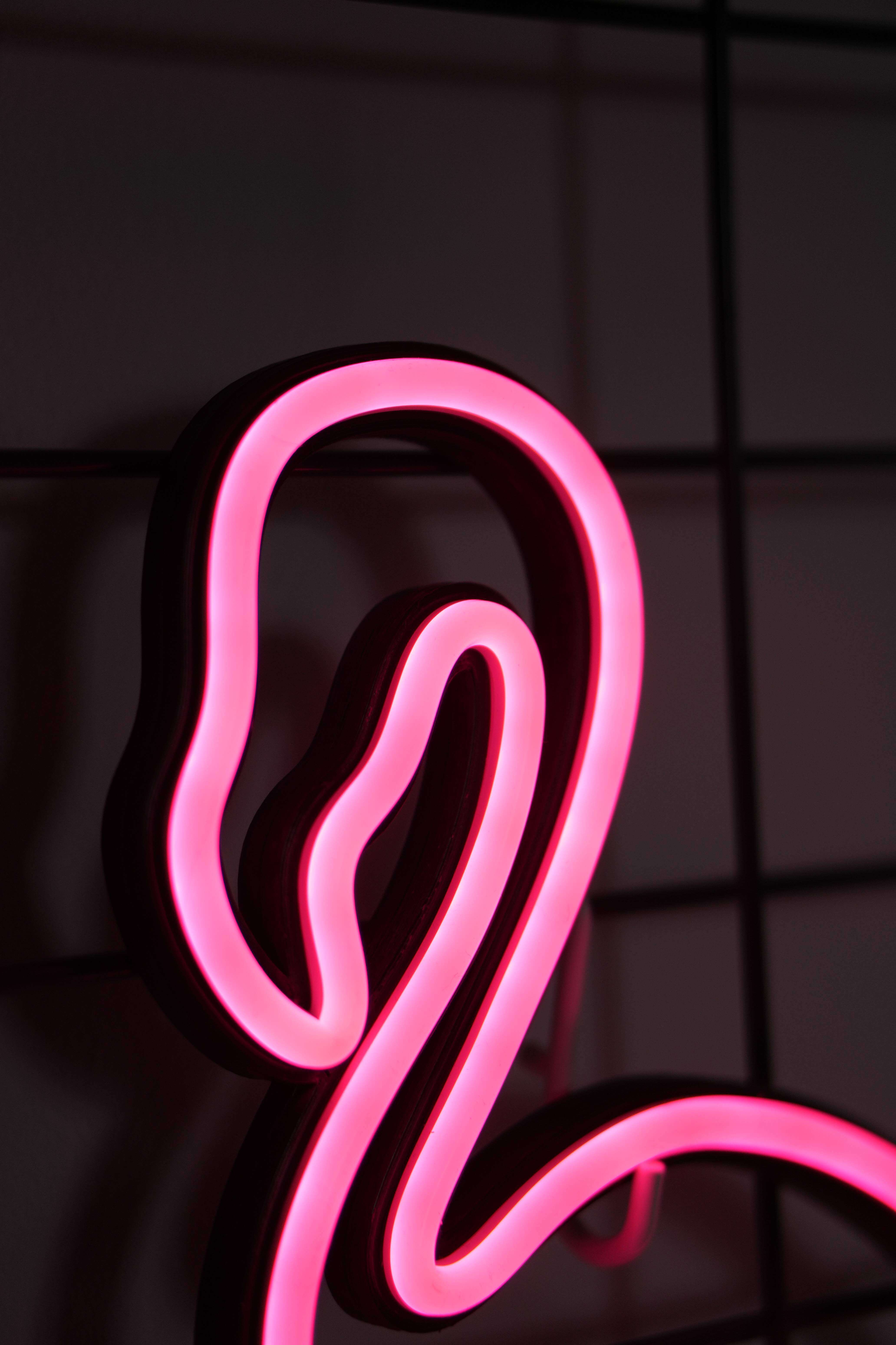 Flaming Neon LED