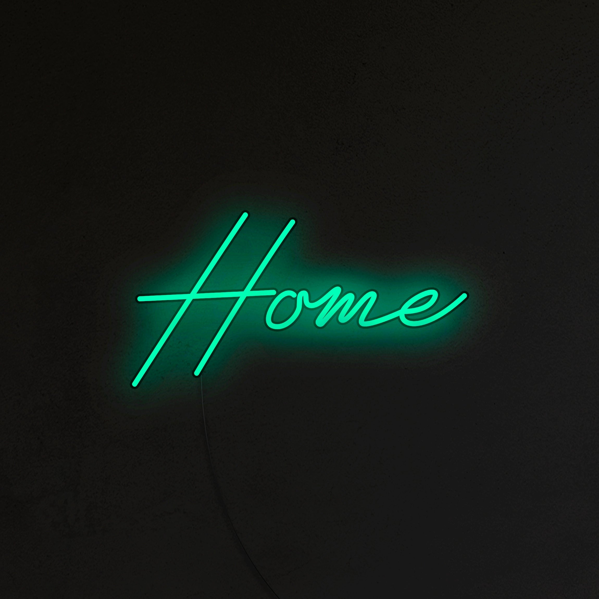 Home Neon LED