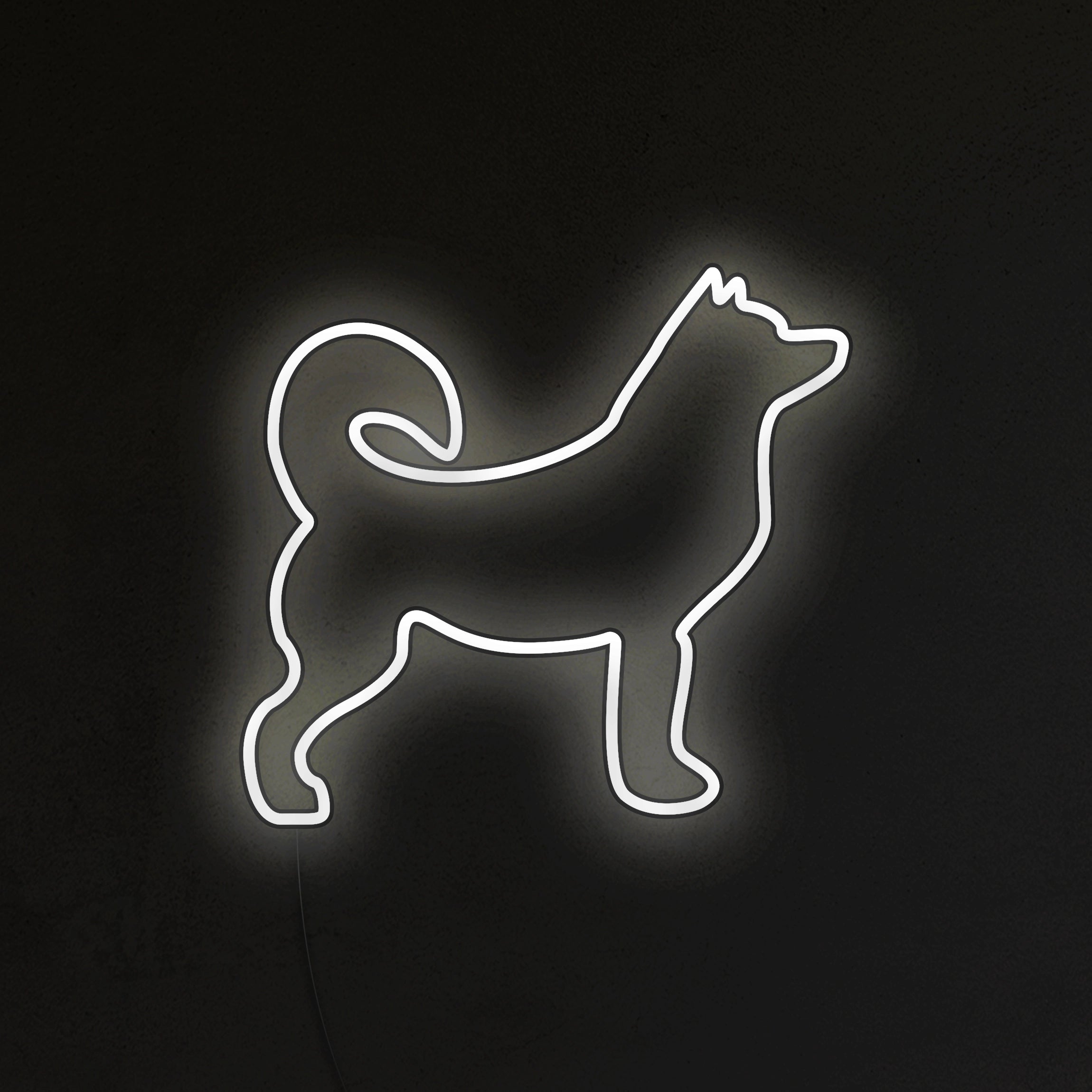 Husky Neon LED