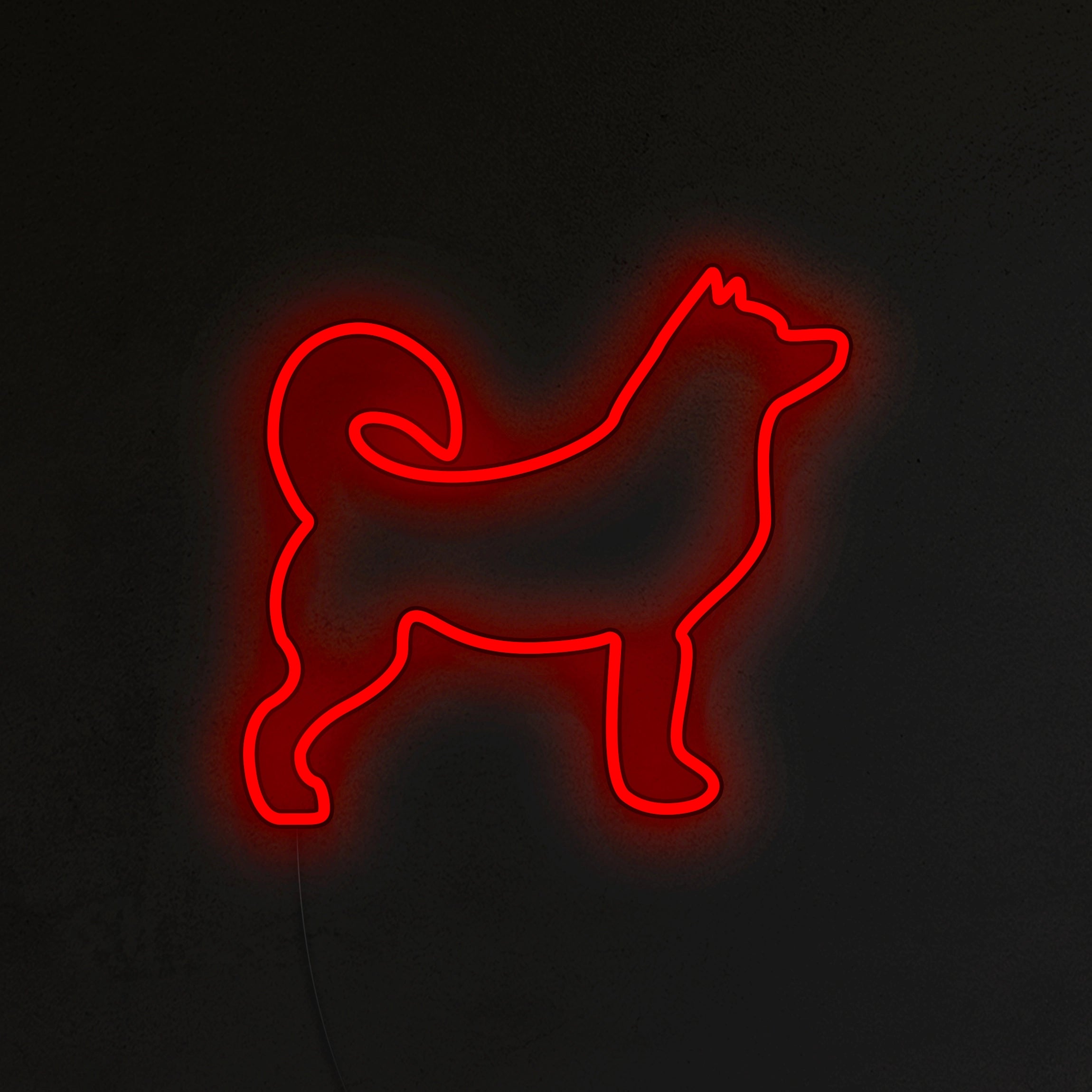 Husky Neon LED