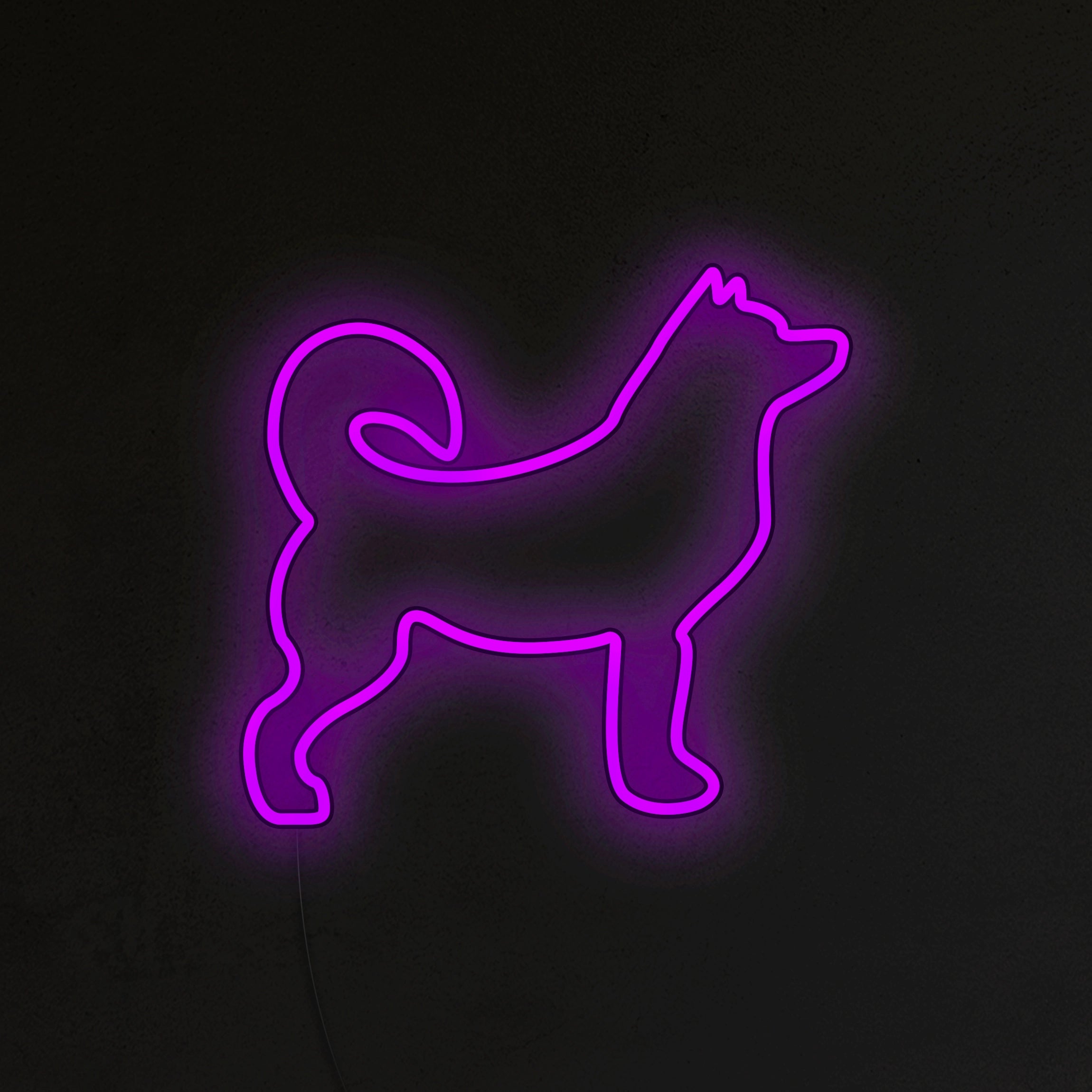 Husky Neon LED