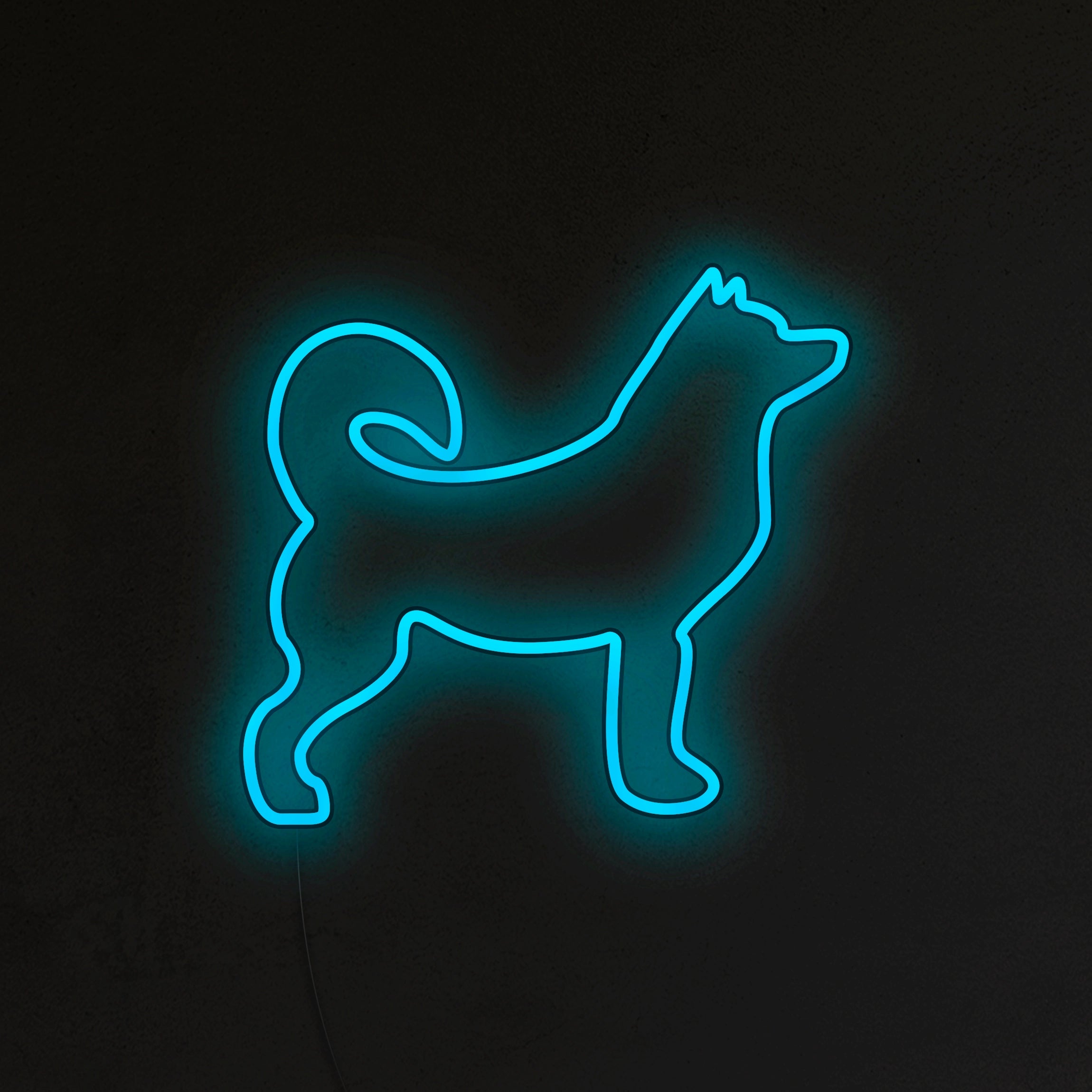 Husky Neon LED