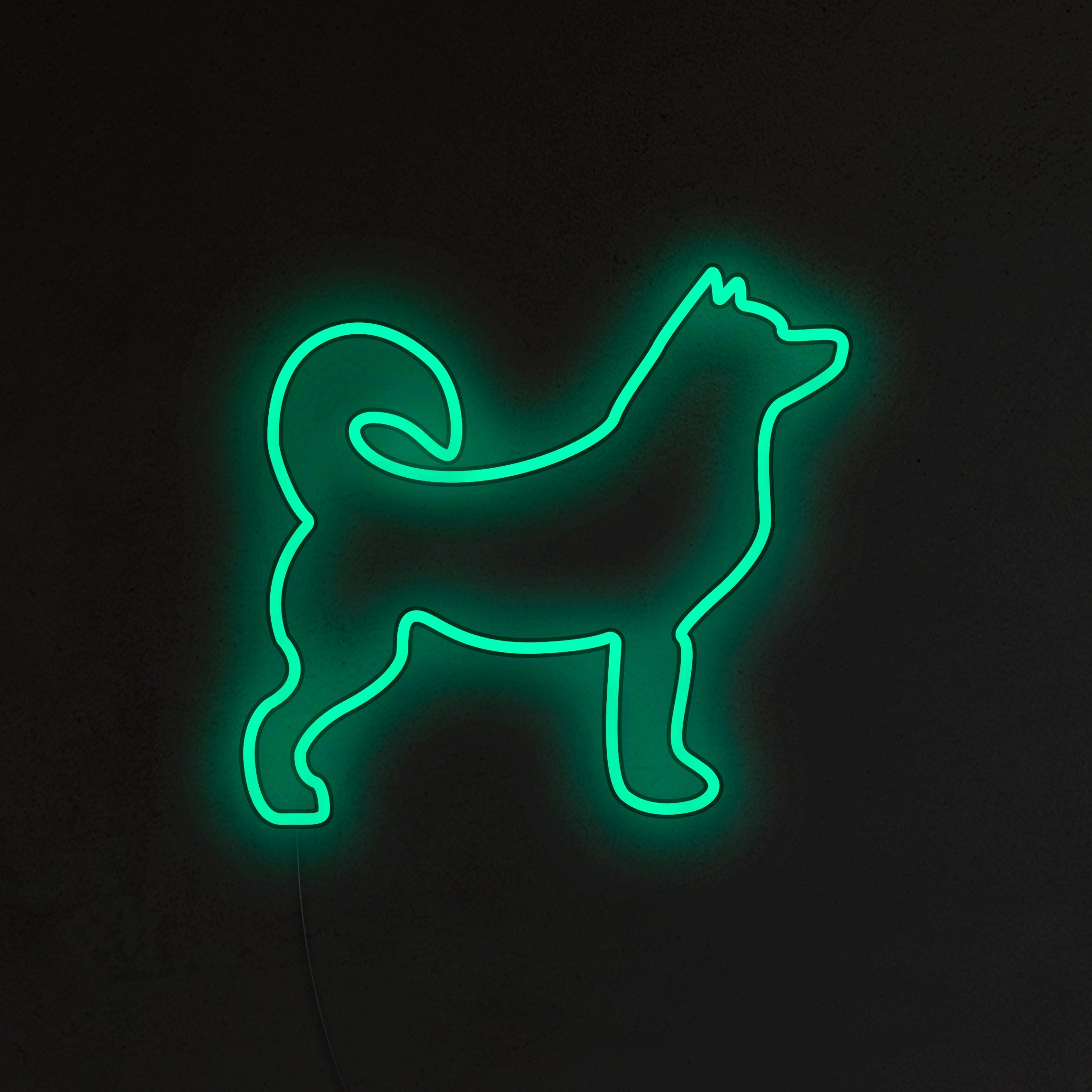 Husky Neon LED