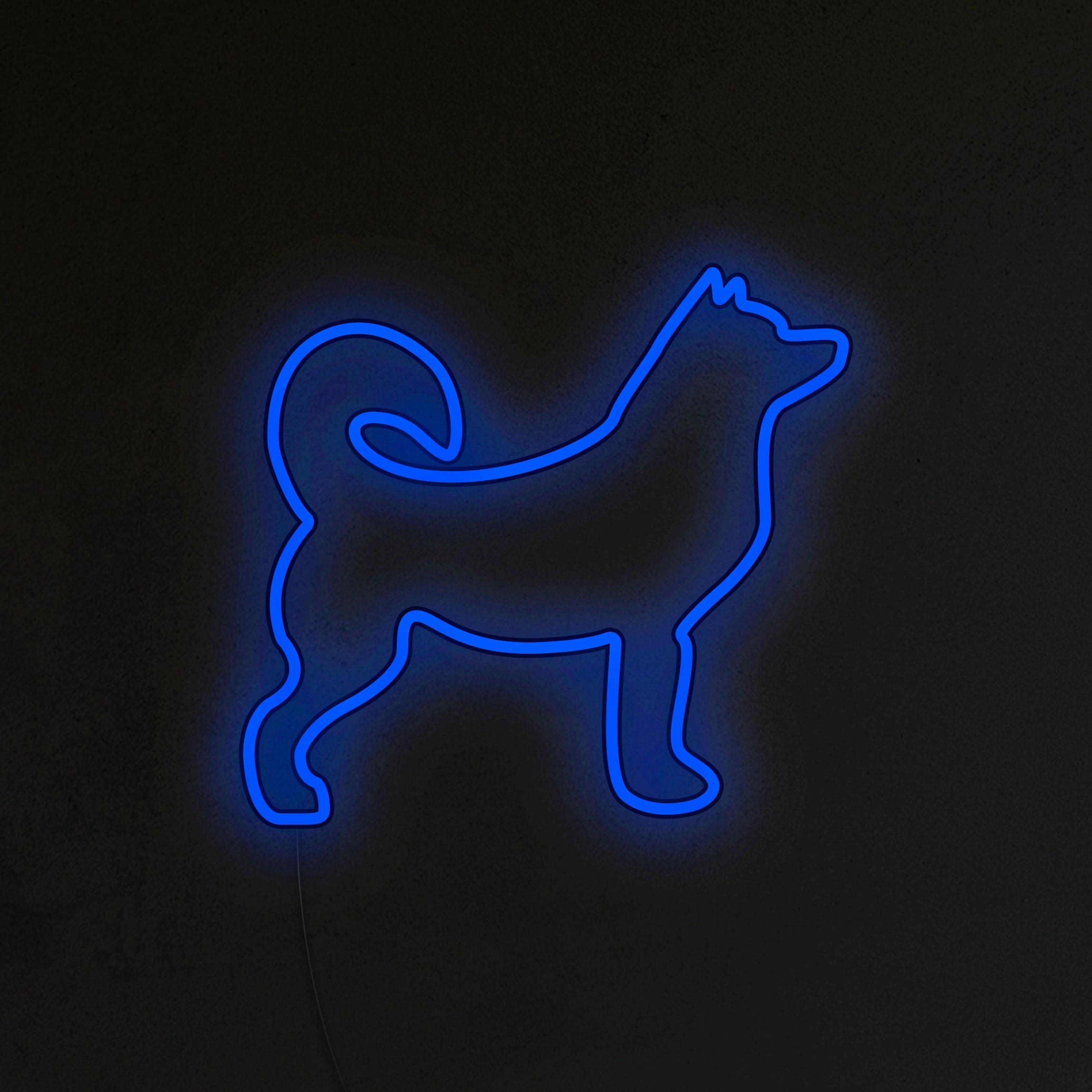Husky Neon LED