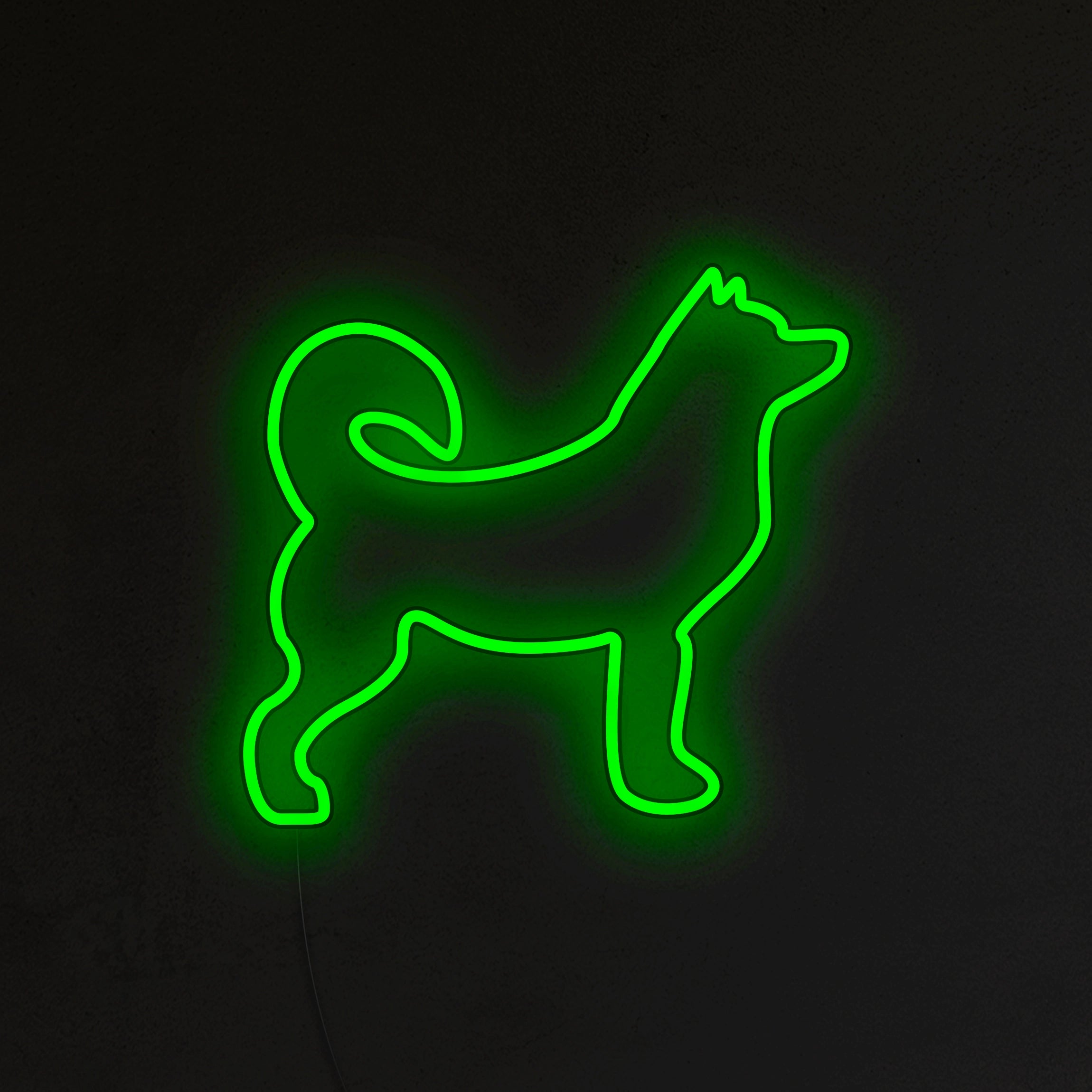 Husky Neon LED