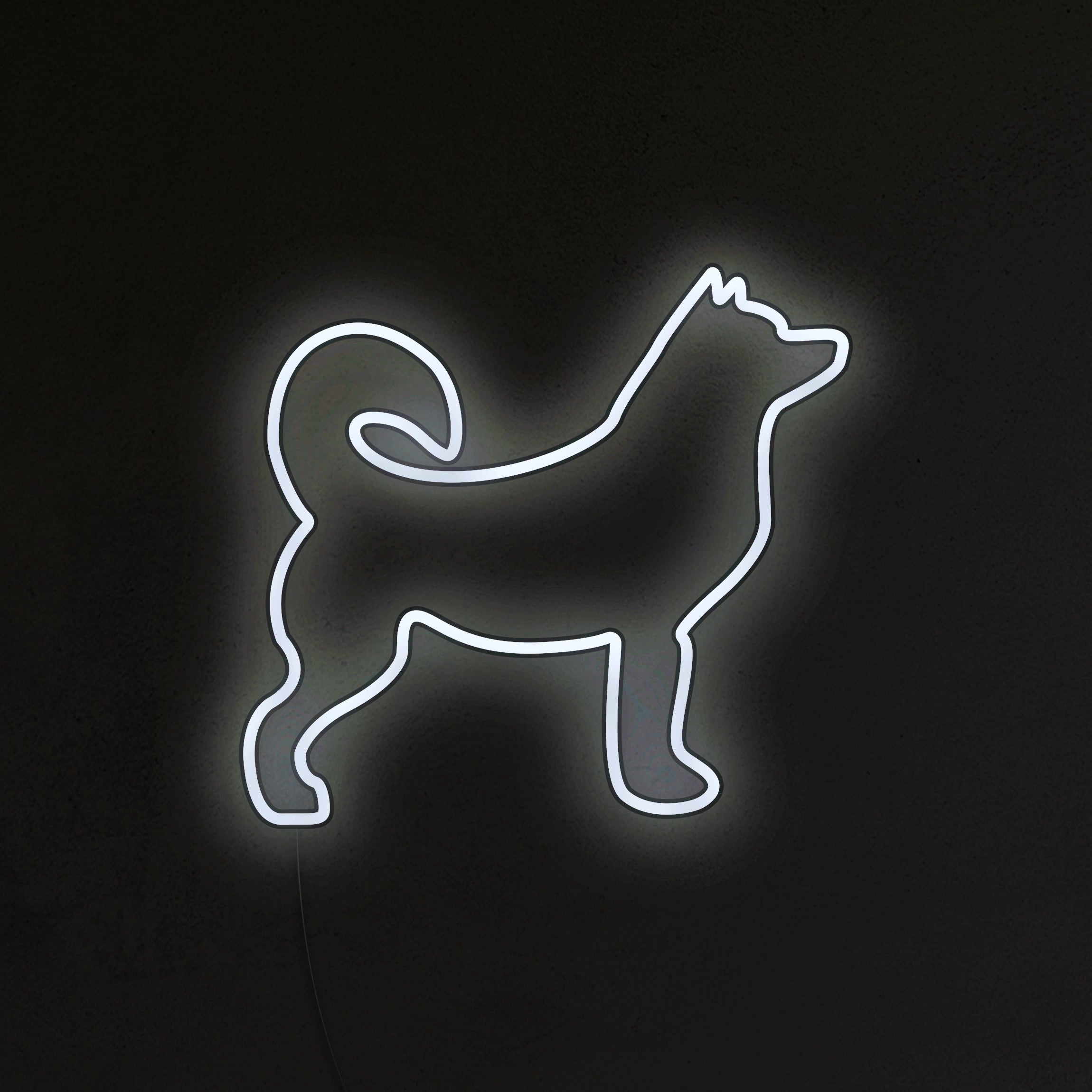 Husky Neon LED