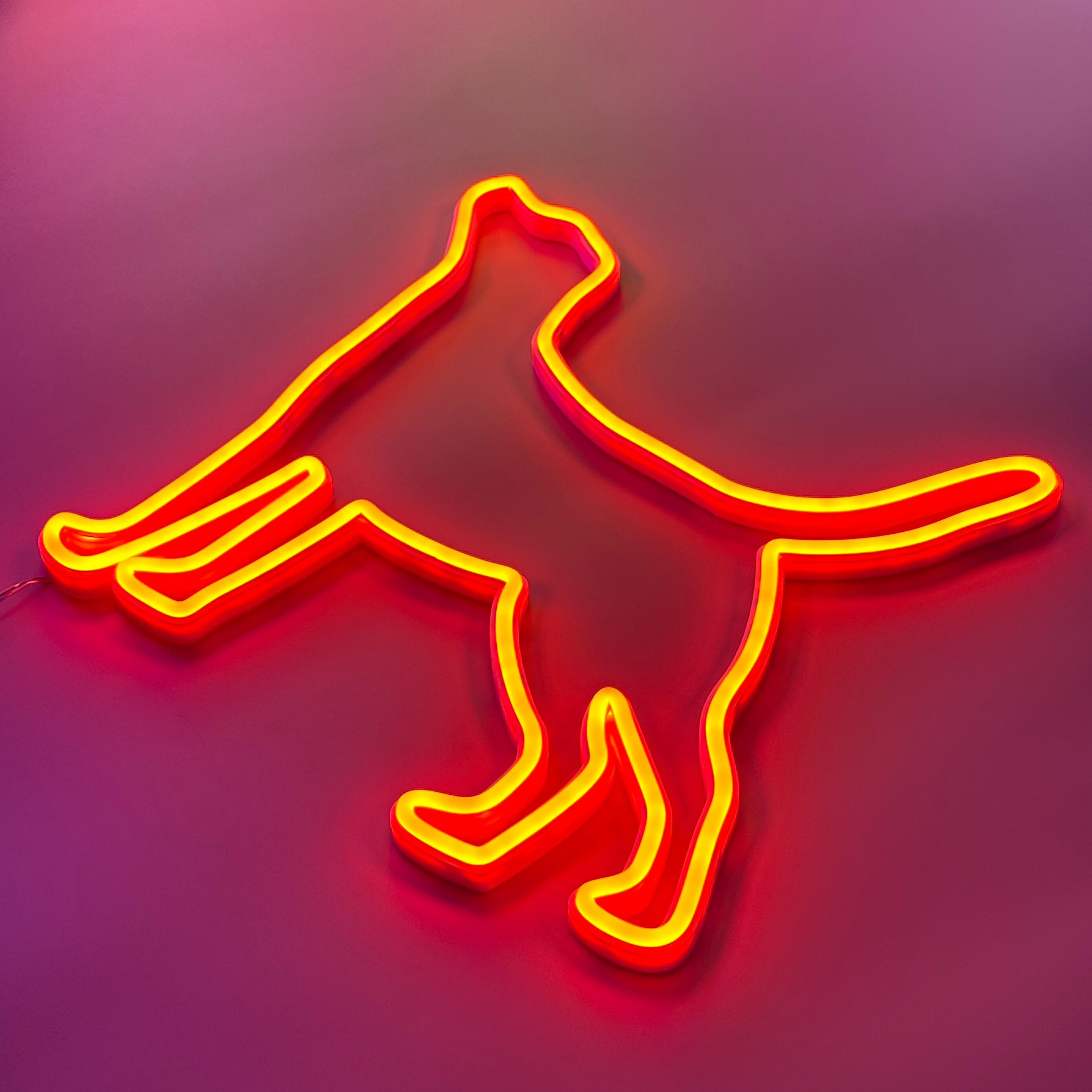Labrador Neon LED