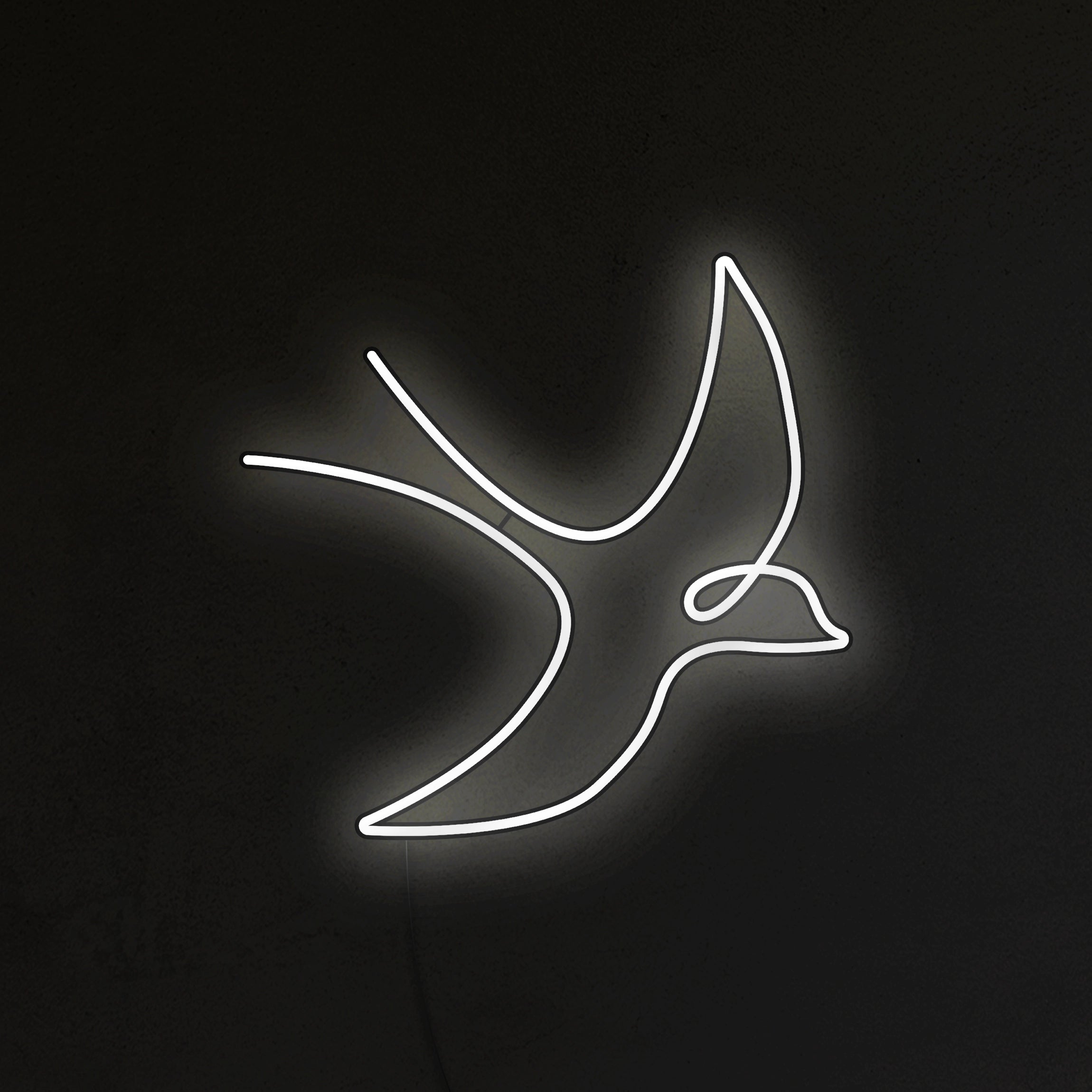 Jaskółka Neon LED