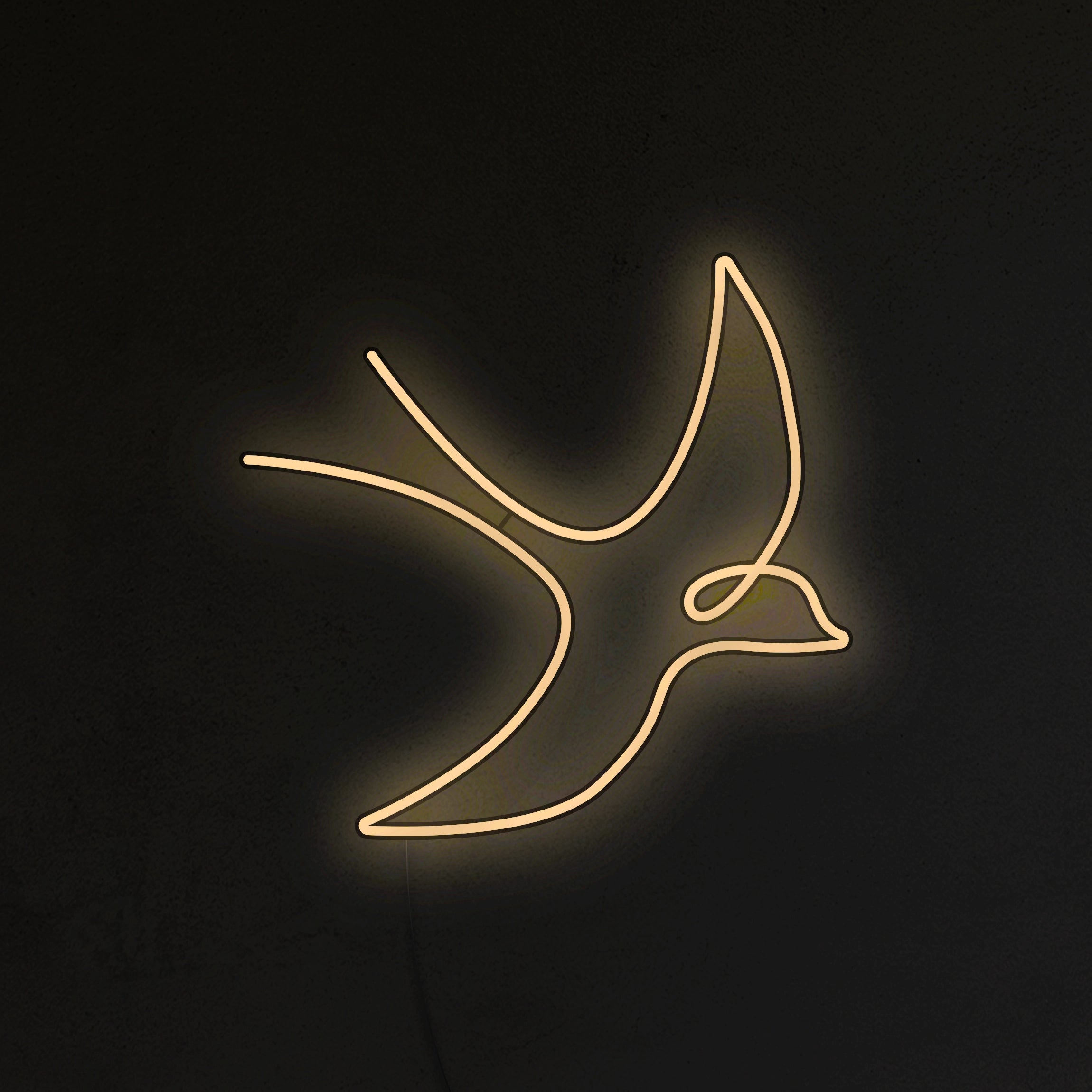 Jaskółka Neon LED