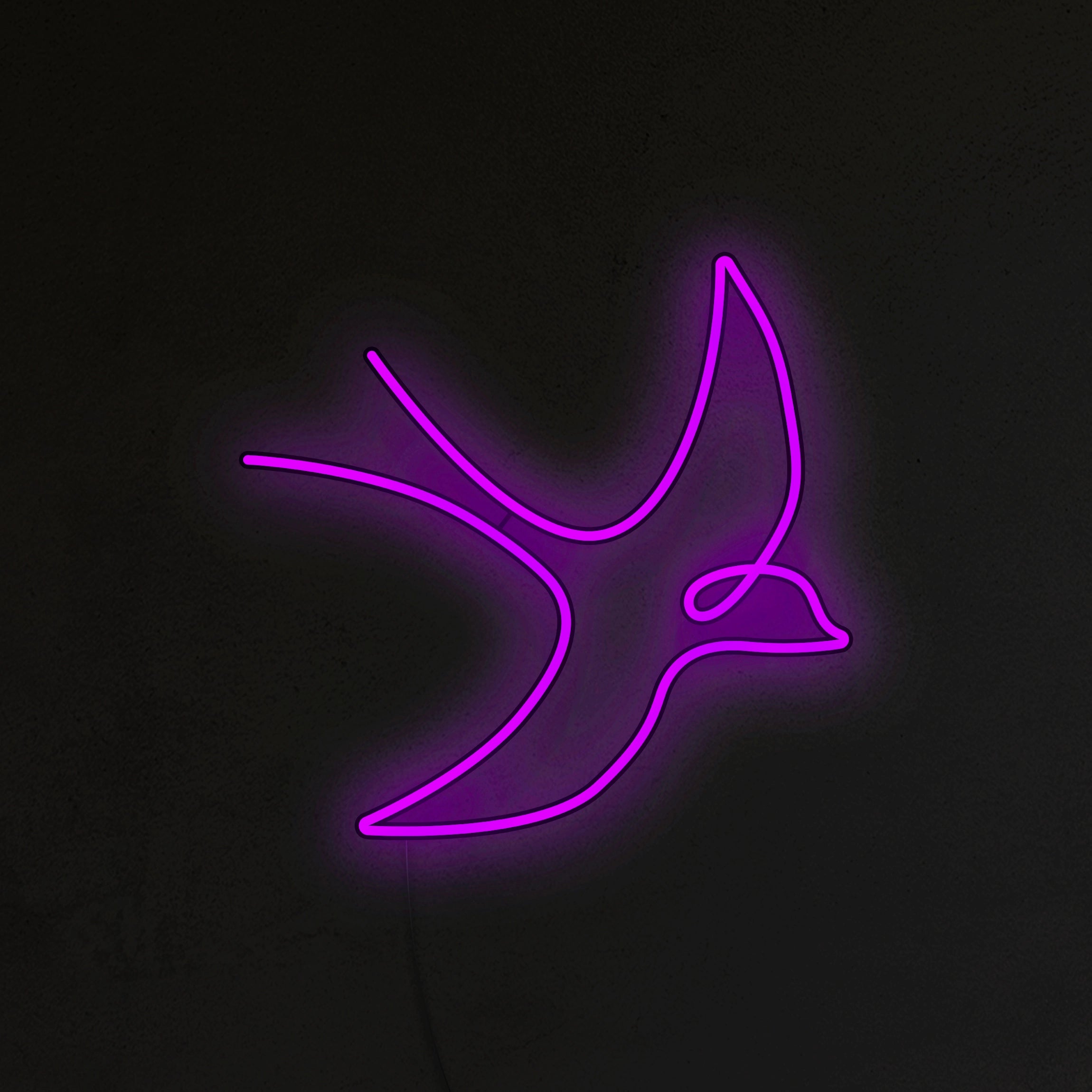 Jaskółka Neon LED