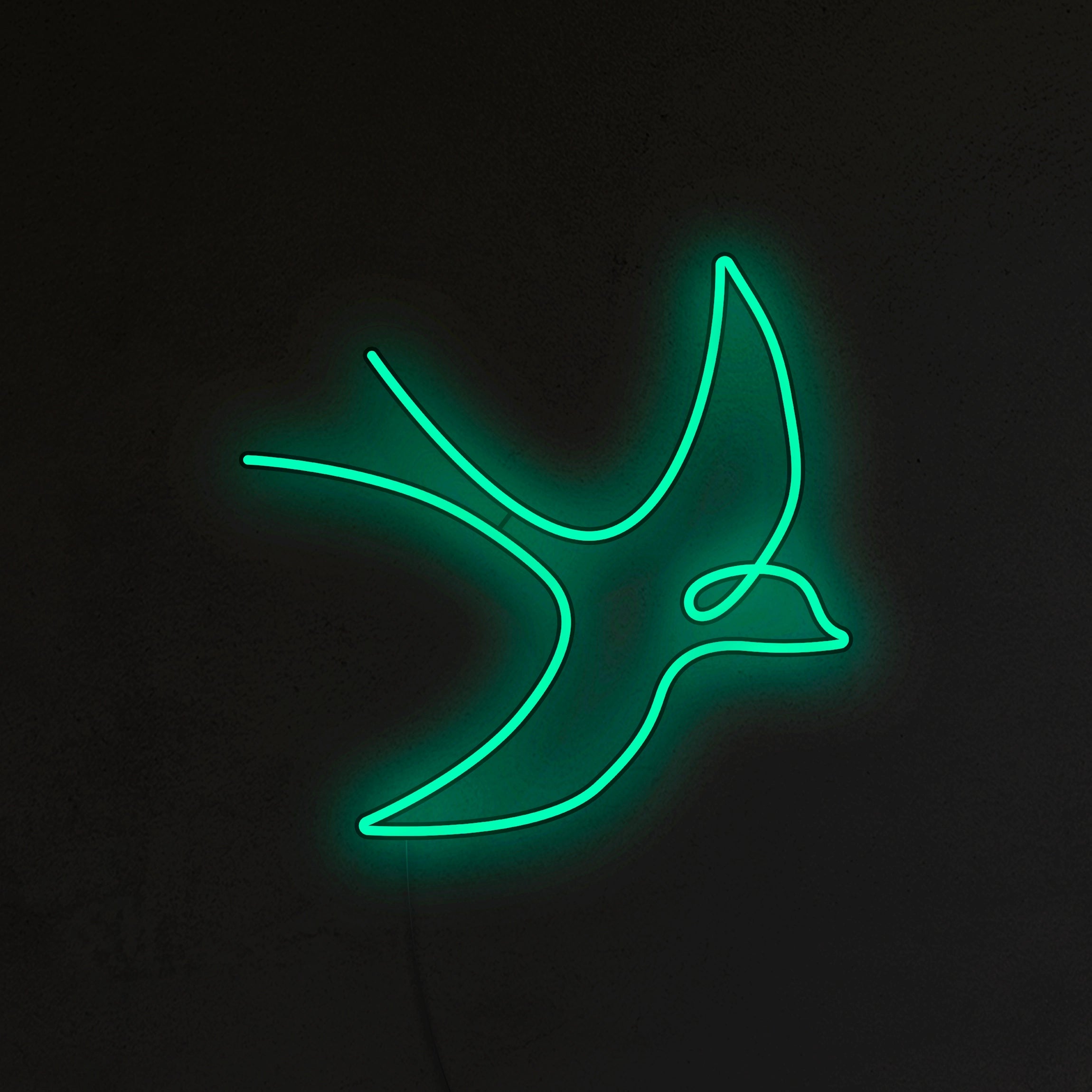 Jaskółka Neon LED