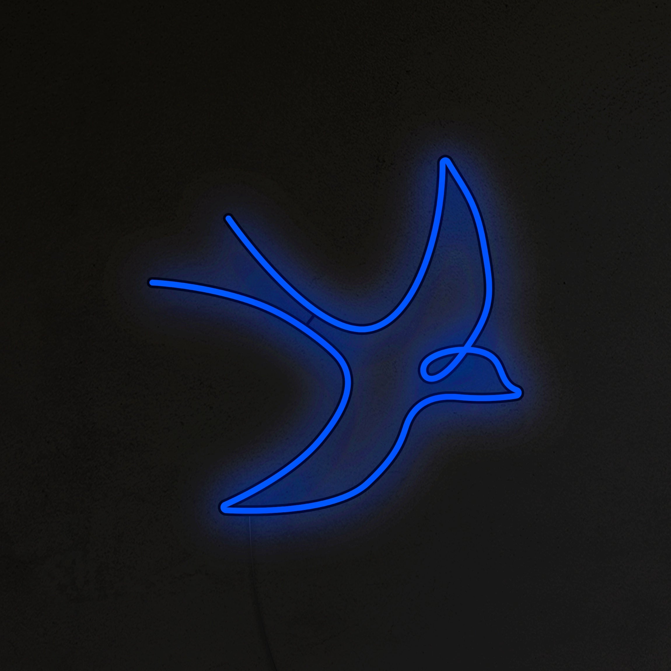 Jaskółka Neon LED