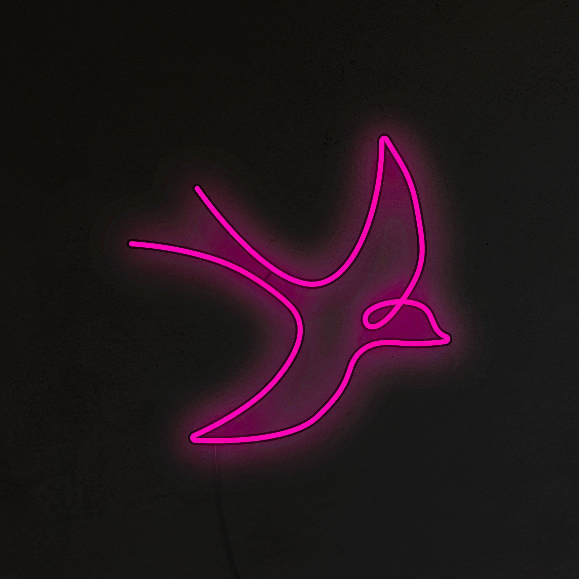 Jaskółka Neon LED