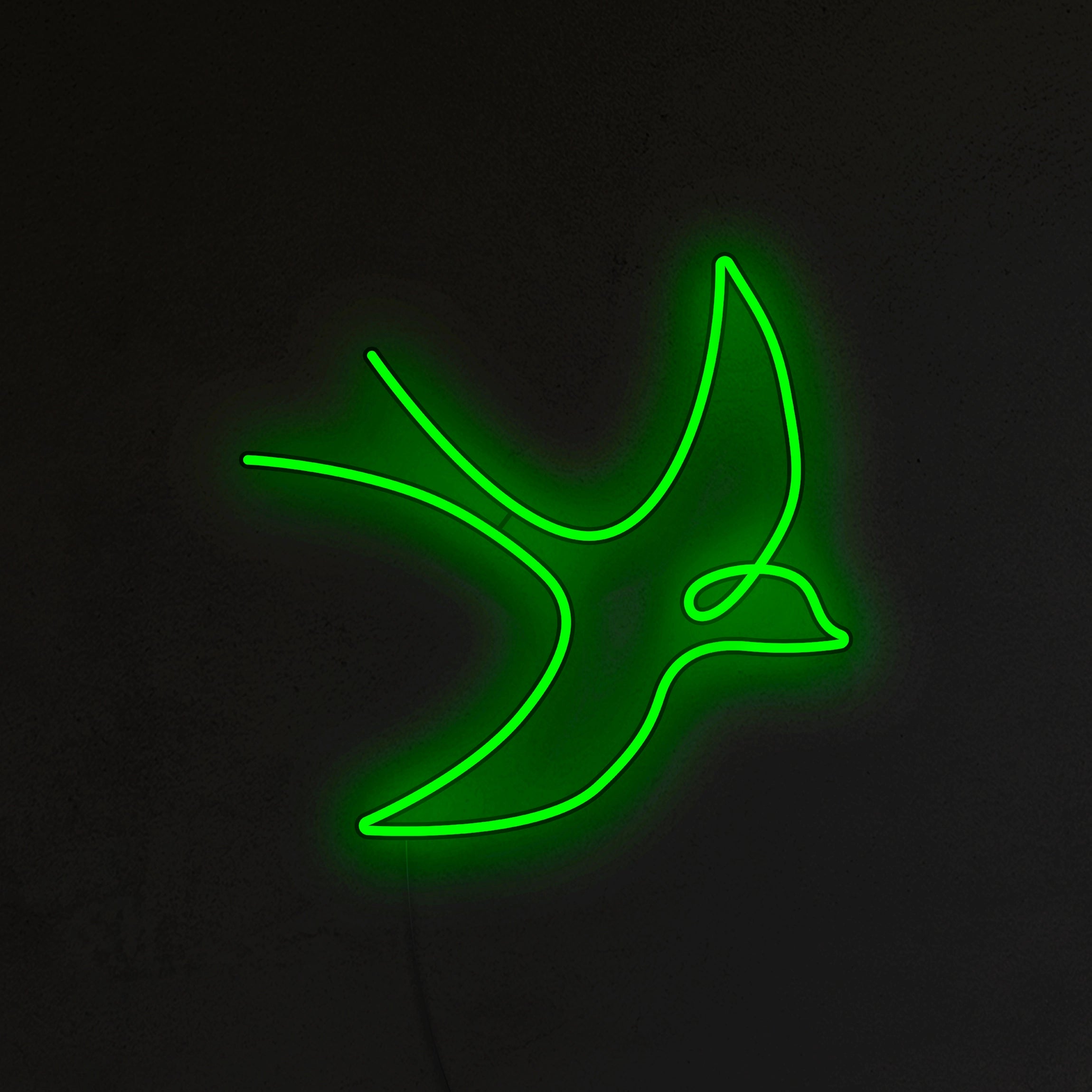 Jaskółka Neon LED