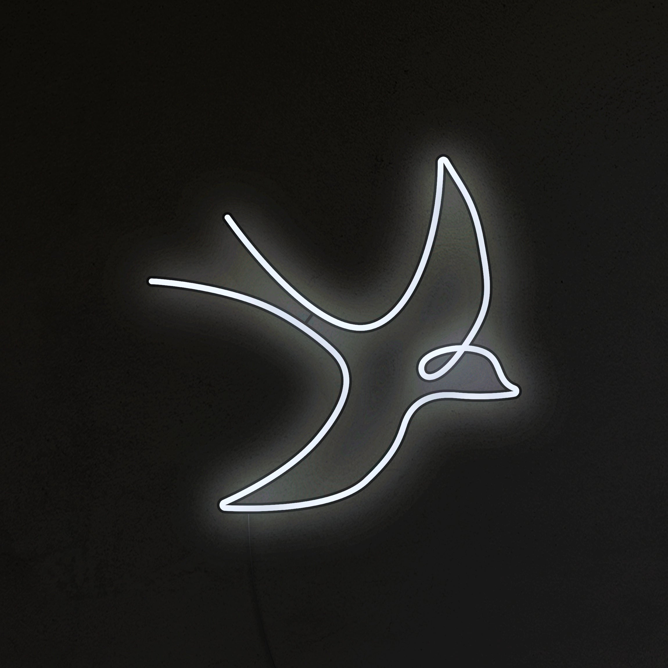 Jaskółka Neon LED