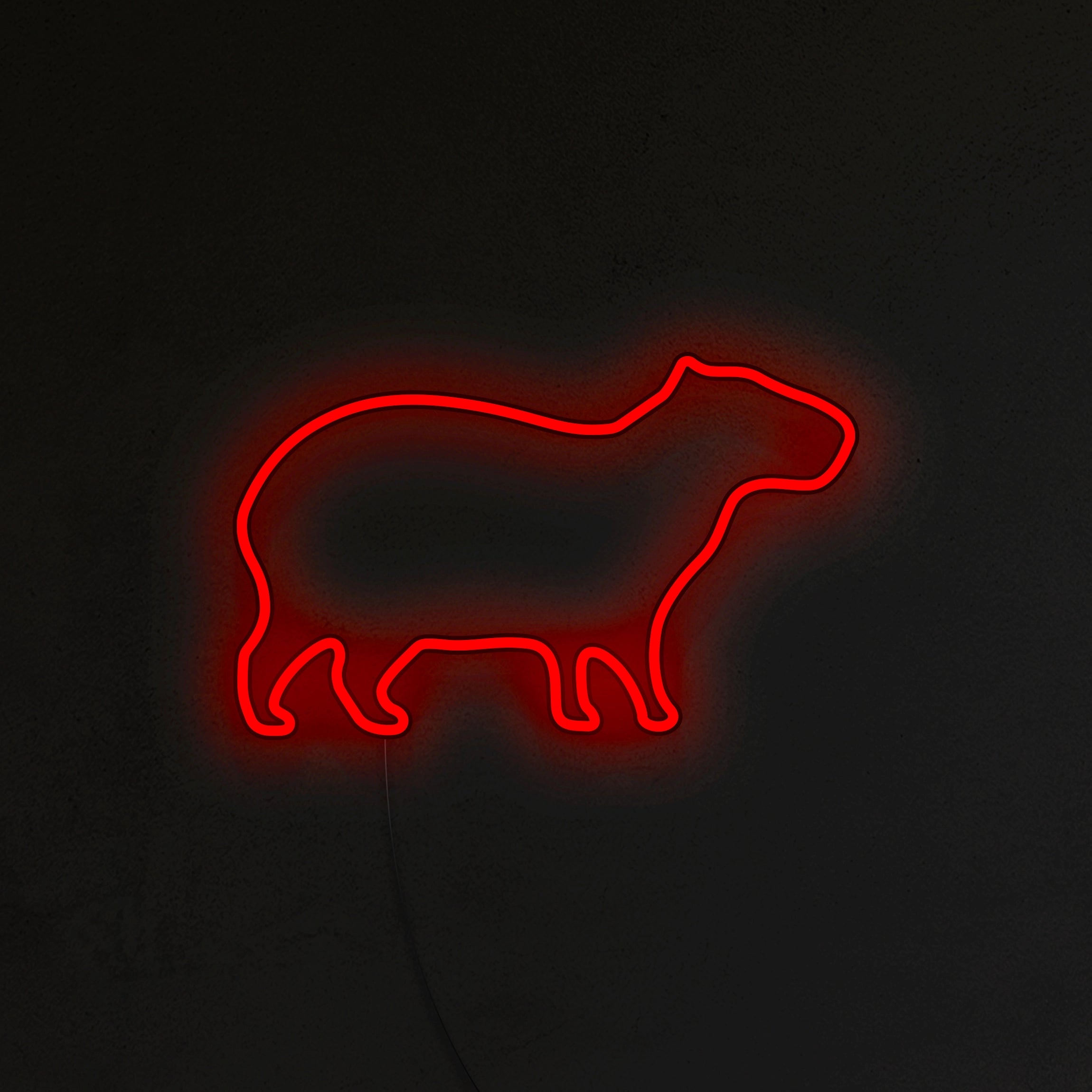 Kapibara Neon LED