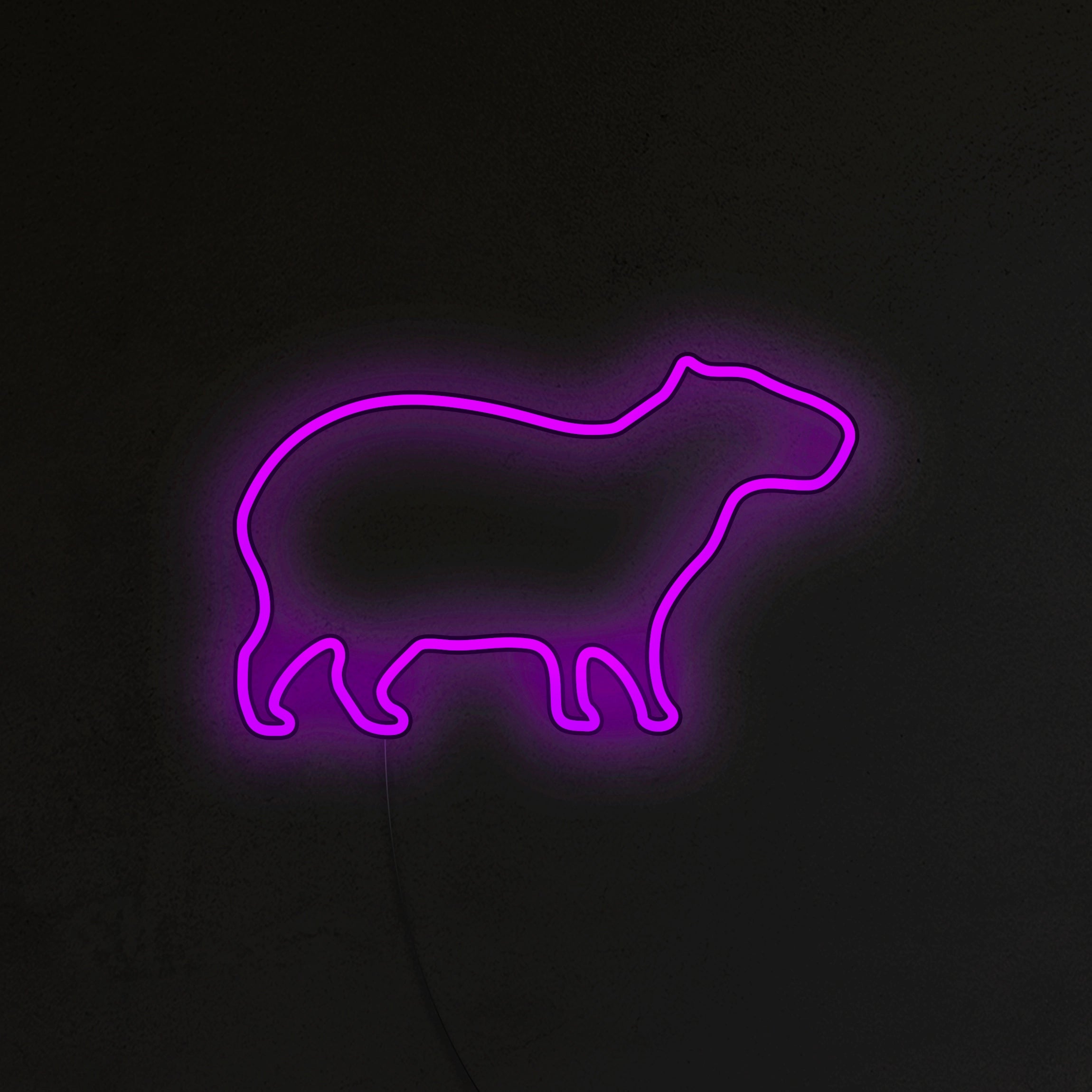 Kapibara Neon LED