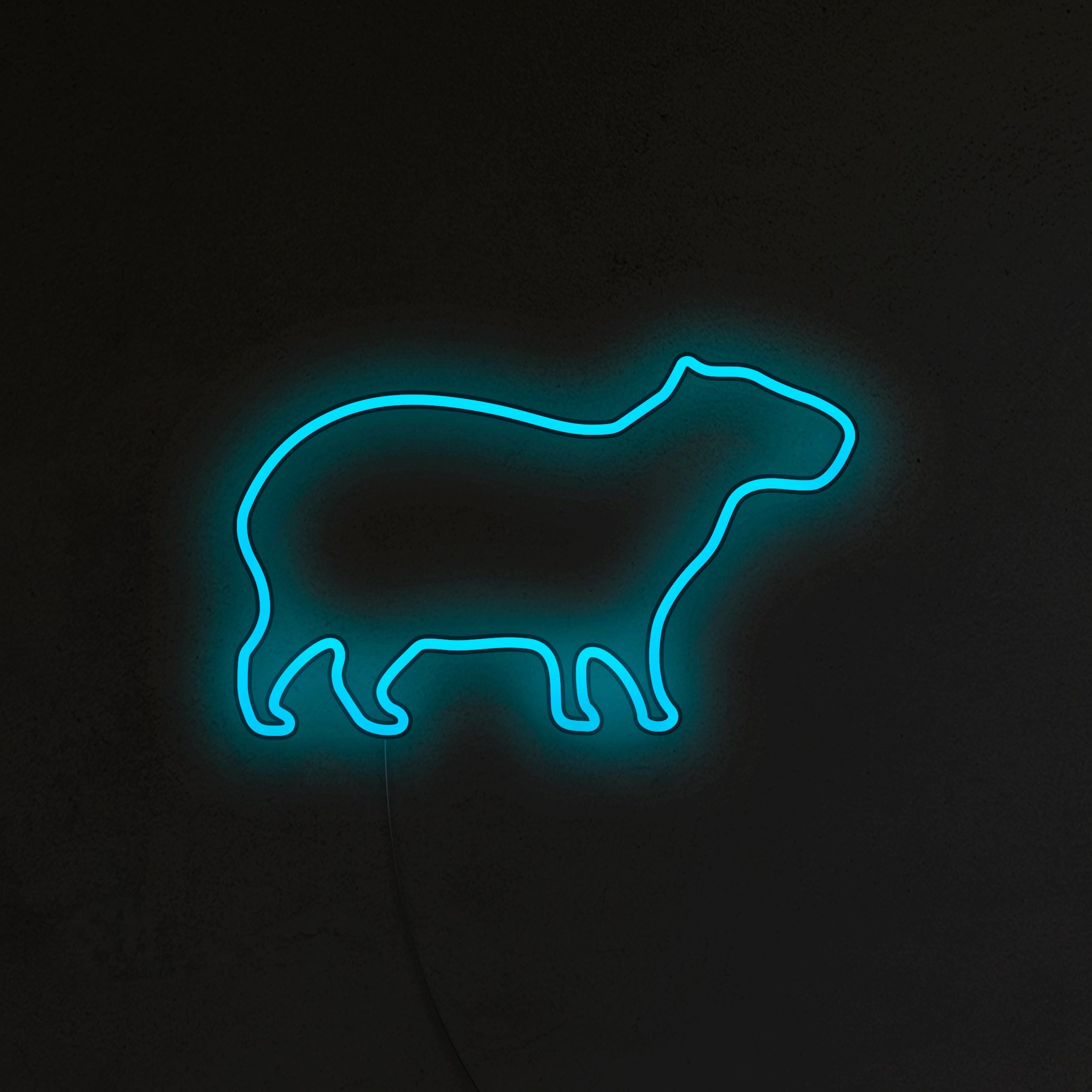 Kapibara Neon LED