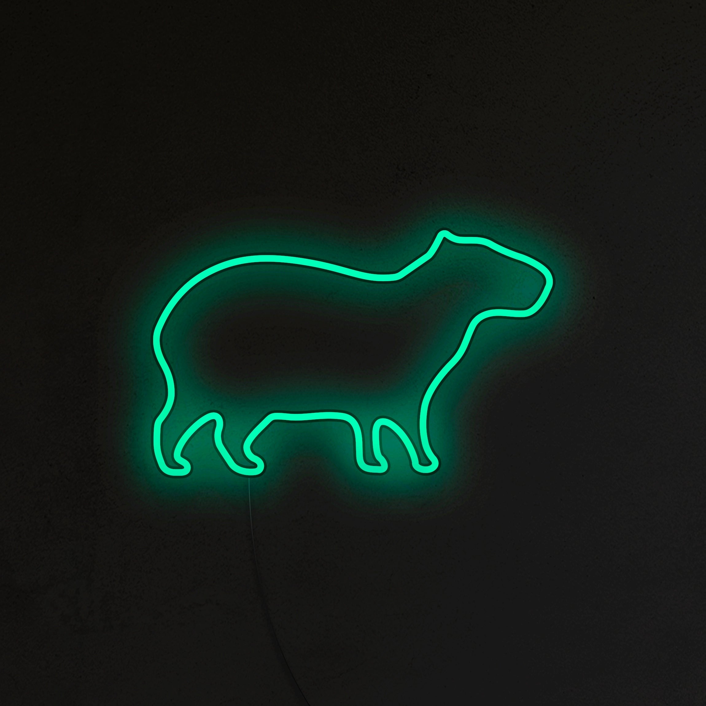 Kapibara Neon LED