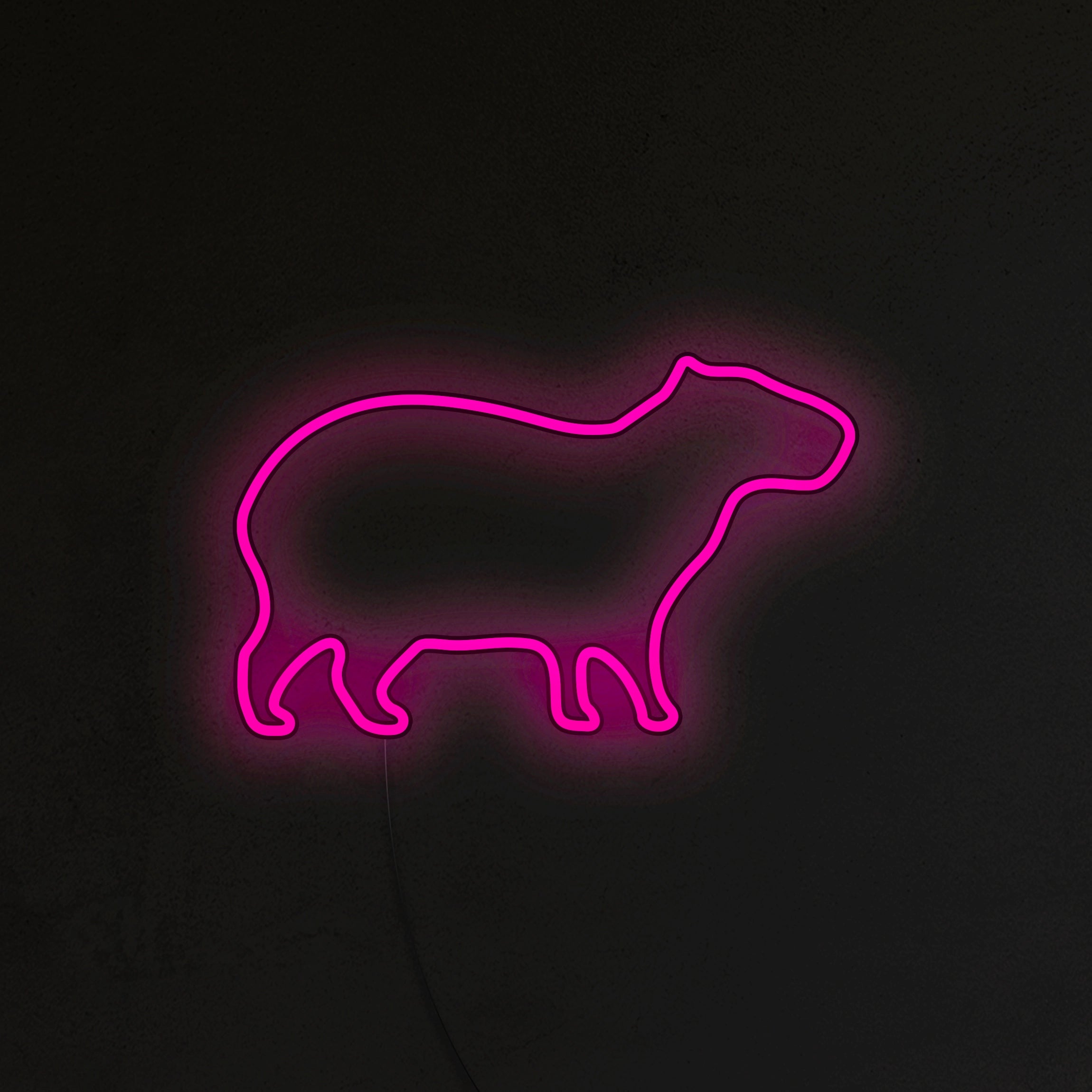 Kapibara Neon LED