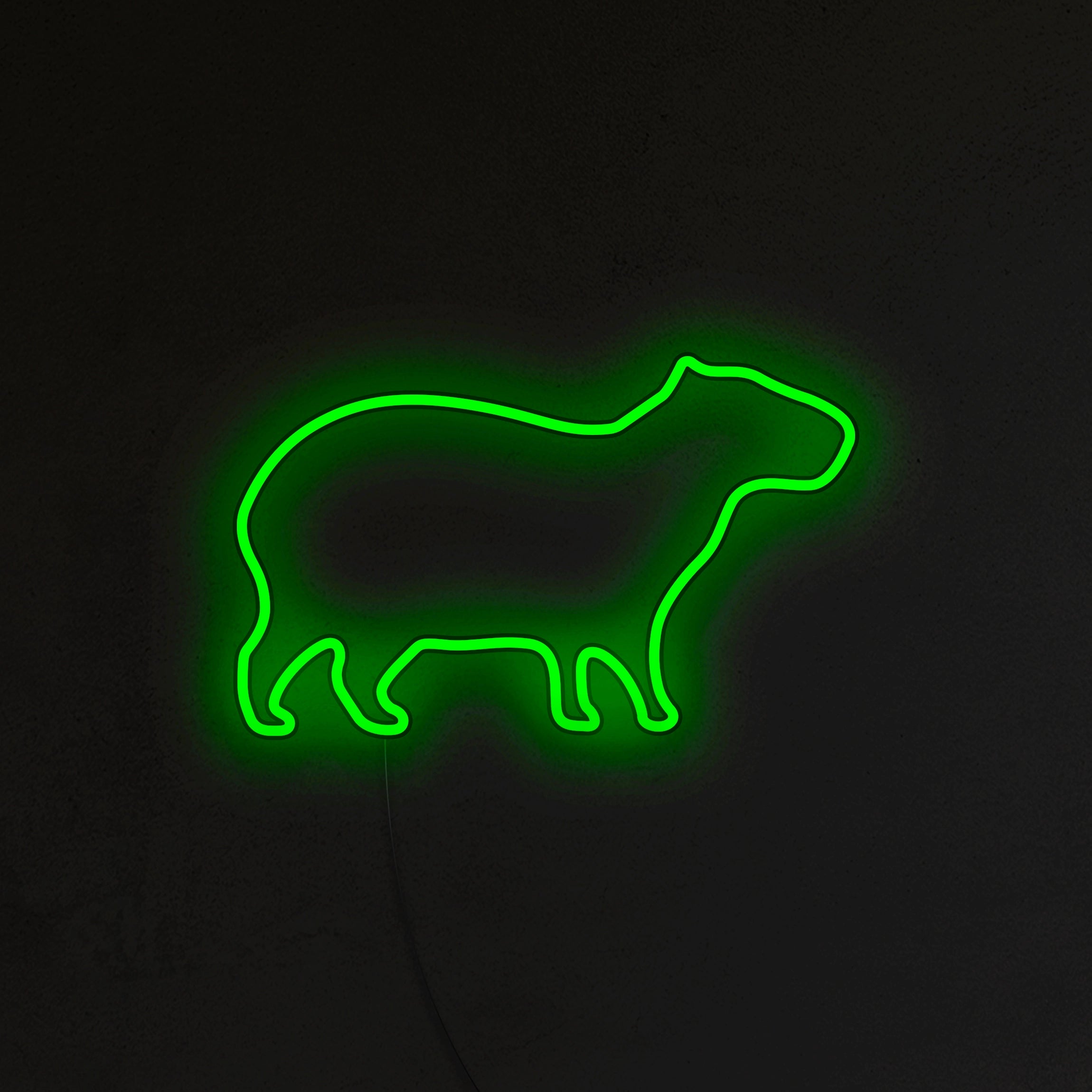 Kapibara Neon LED