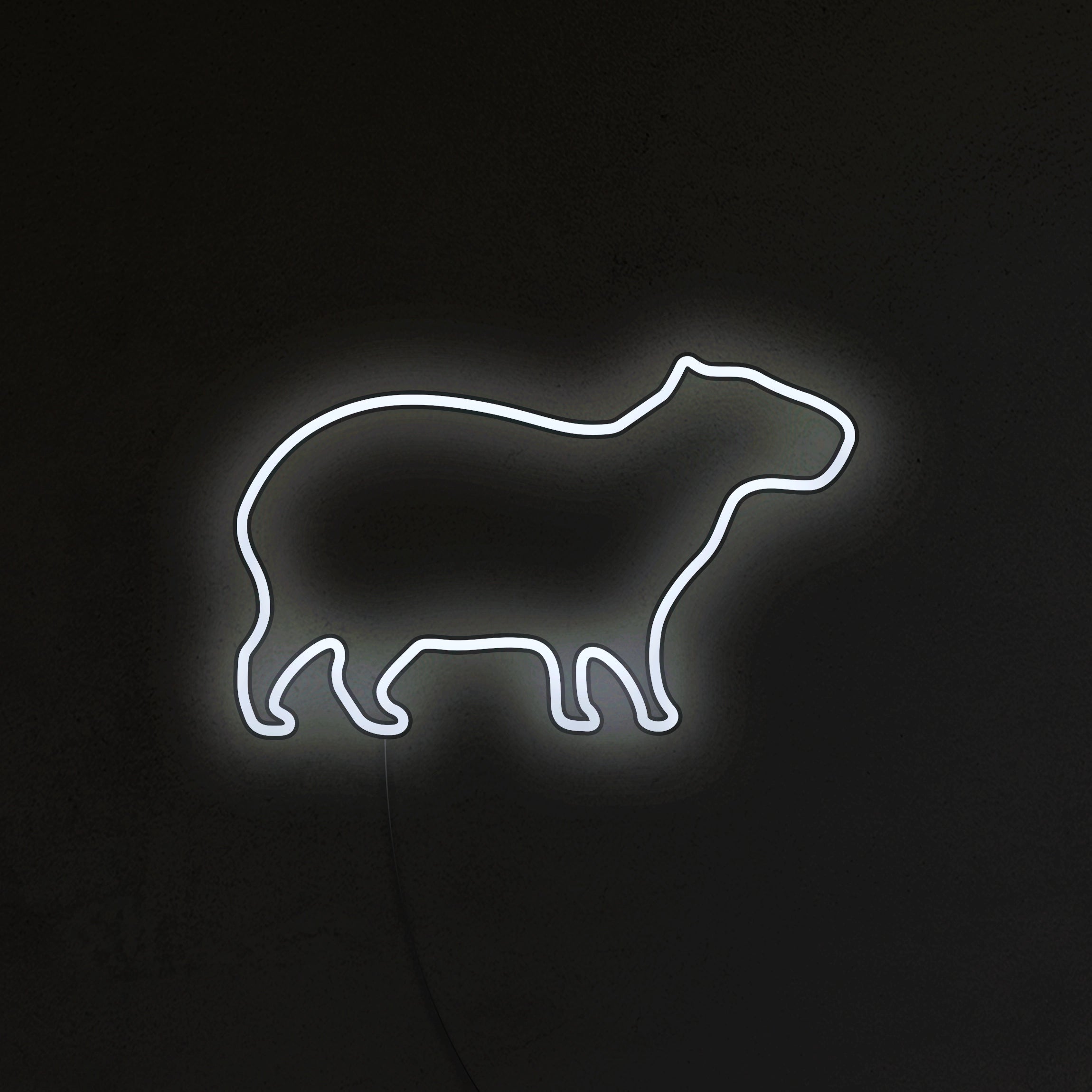 Kapibara Neon LED