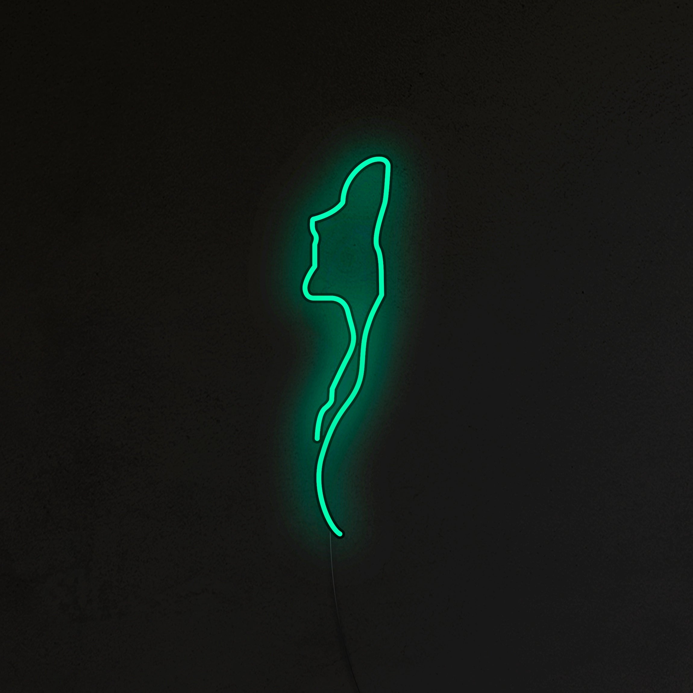Kobieta Neon LED