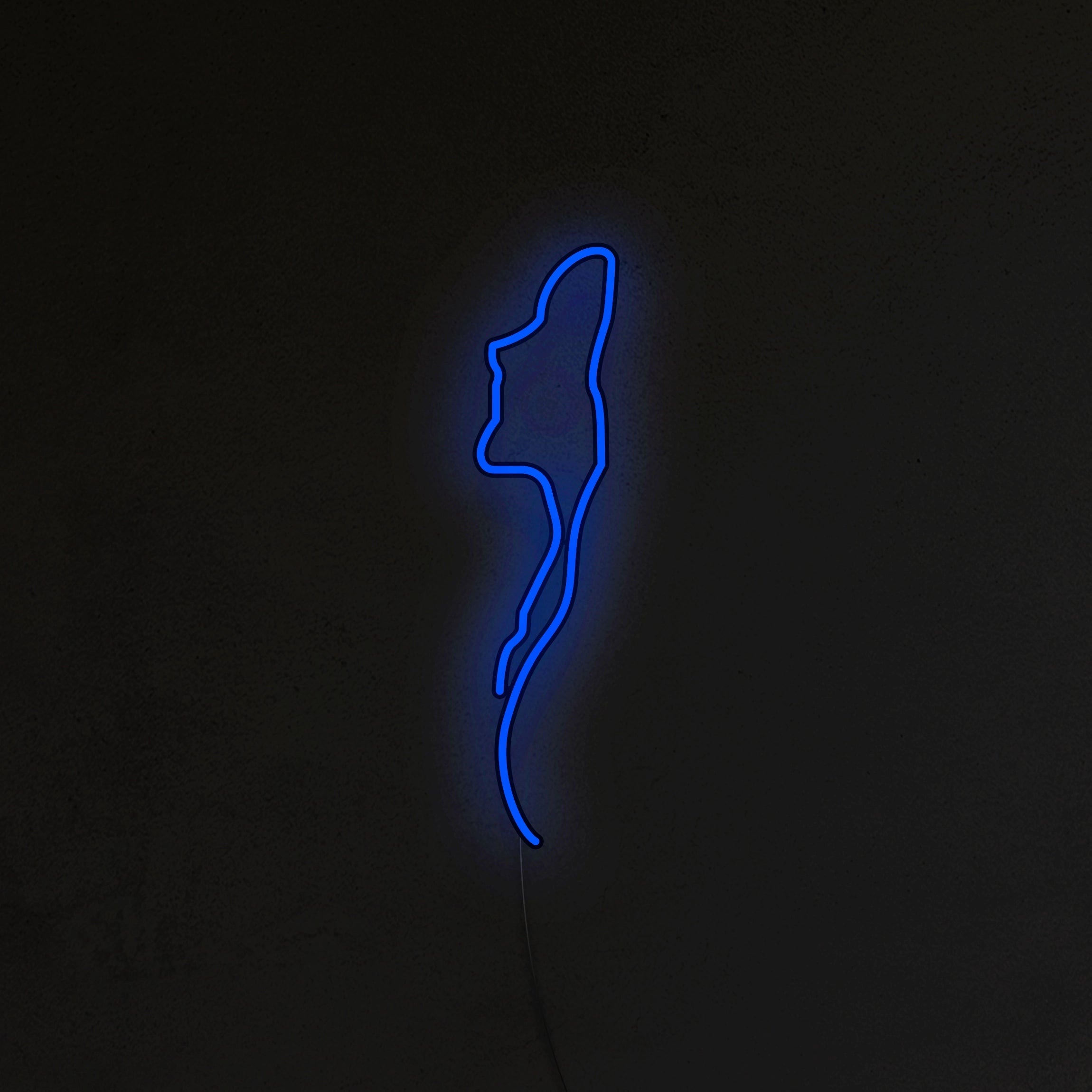 Kobieta Neon LED