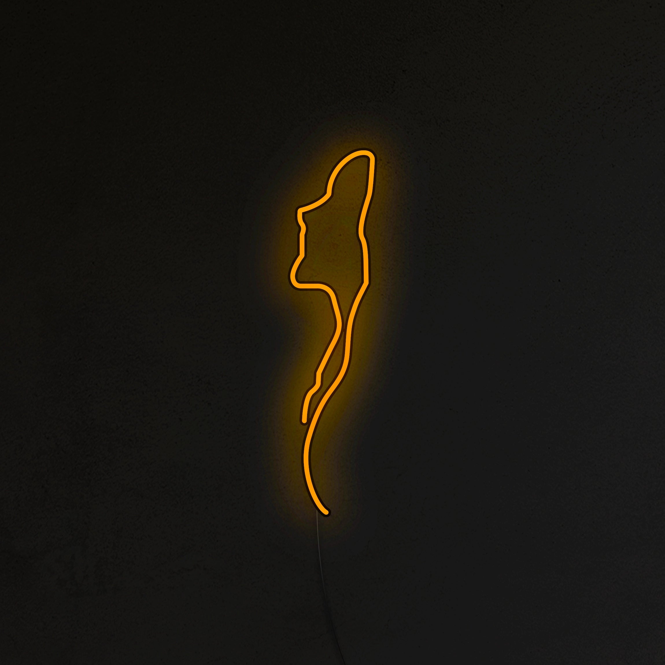 Kobieta Neon LED