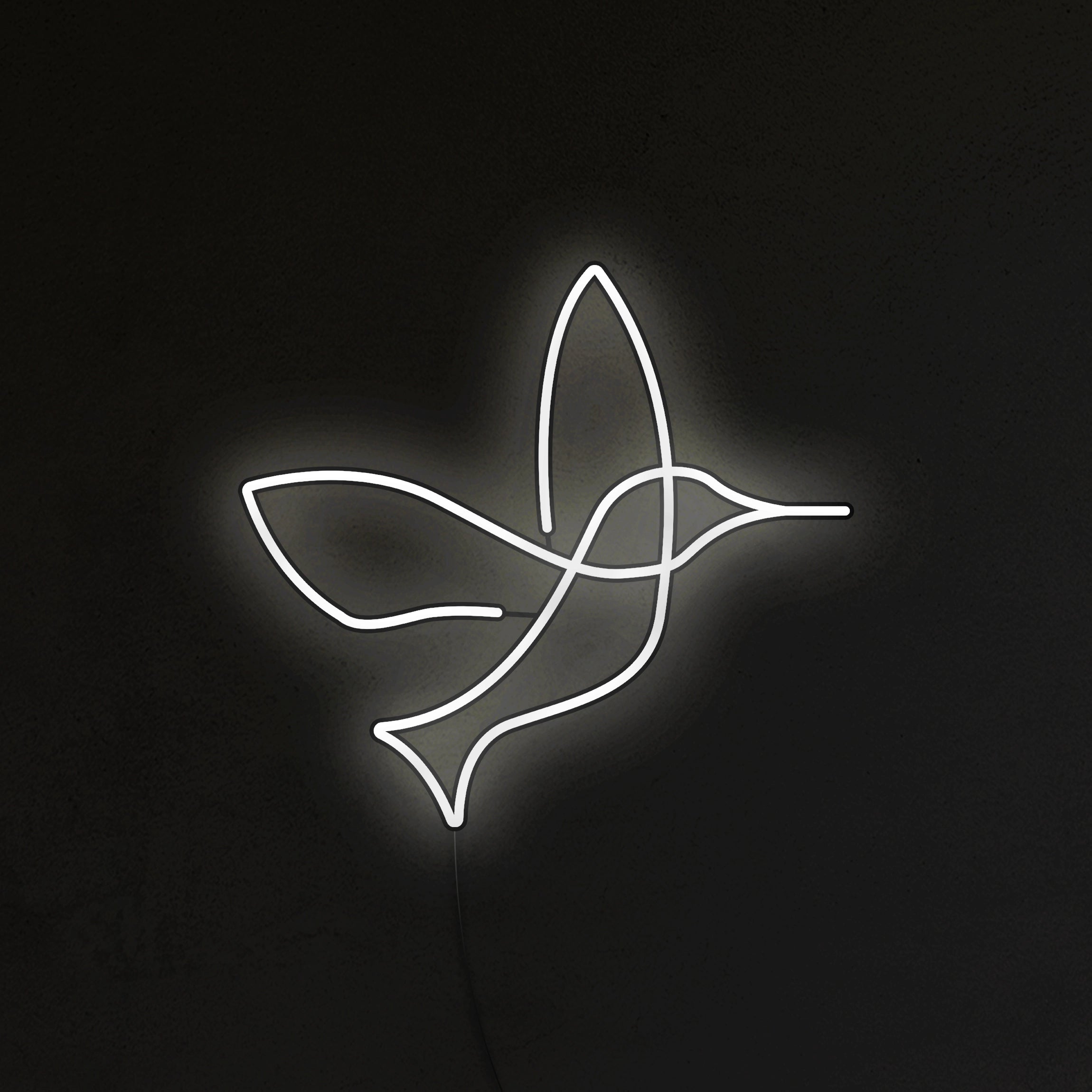 Koliber Neon LED