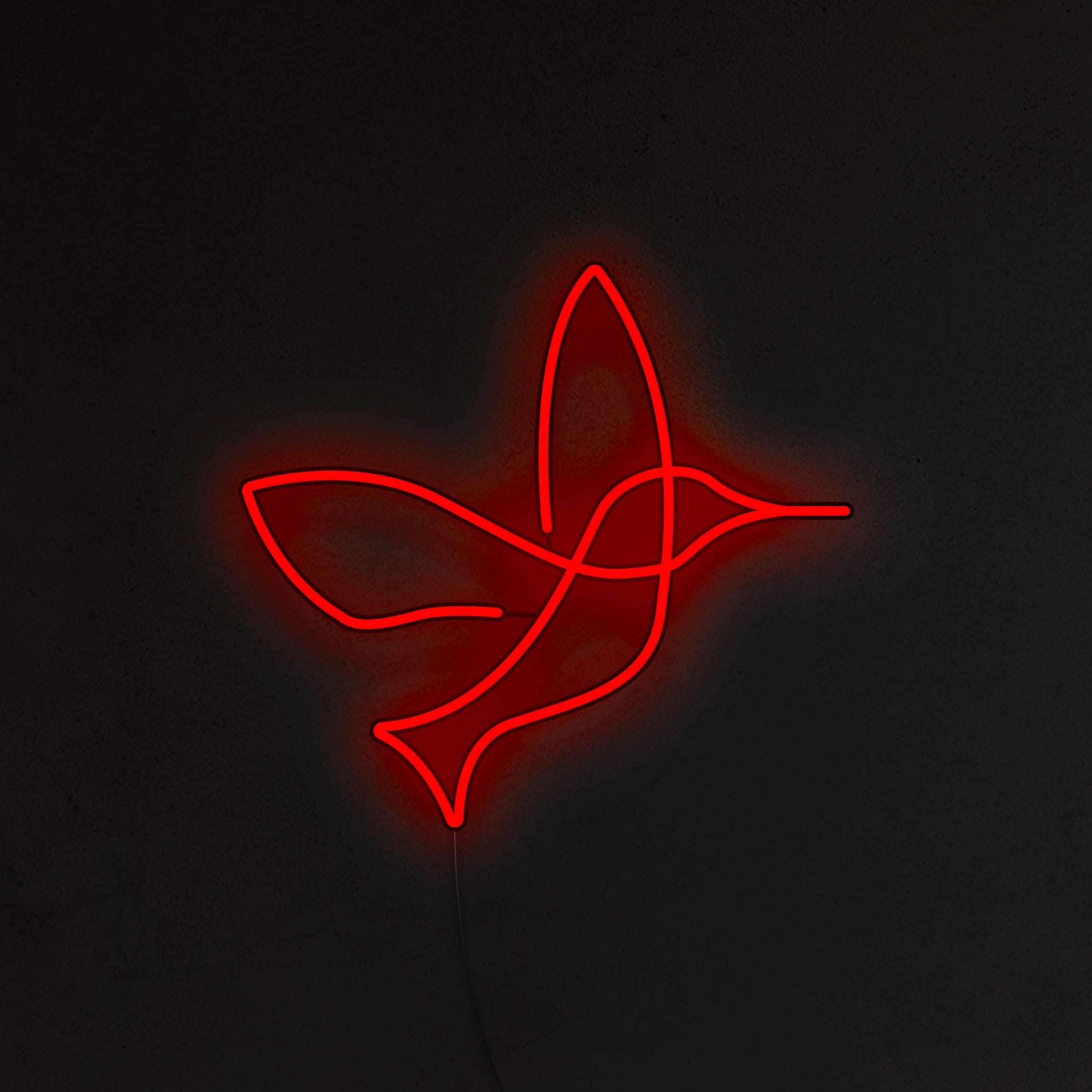 Koliber Neon LED