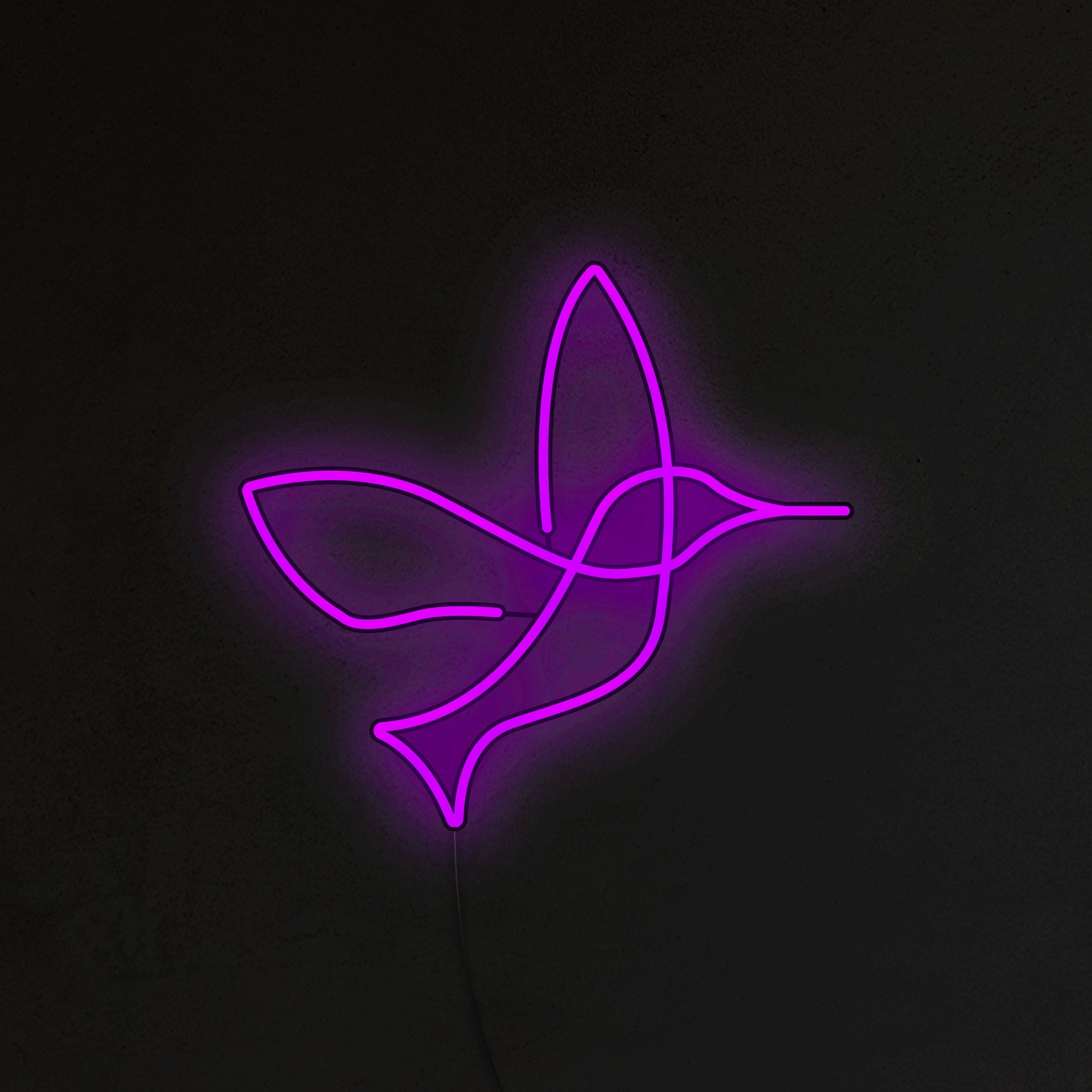 Koliber Neon LED
