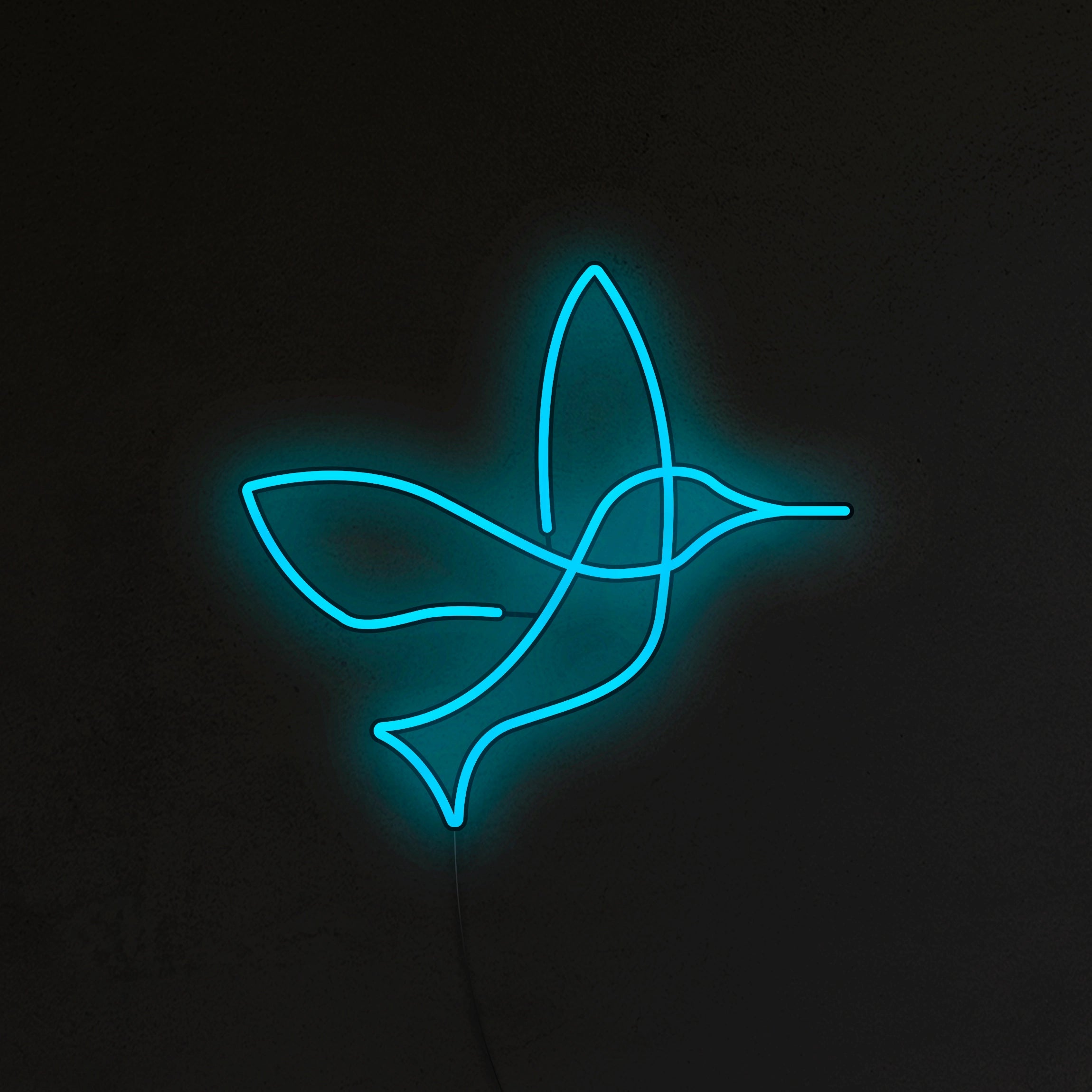Koliber Neon LED