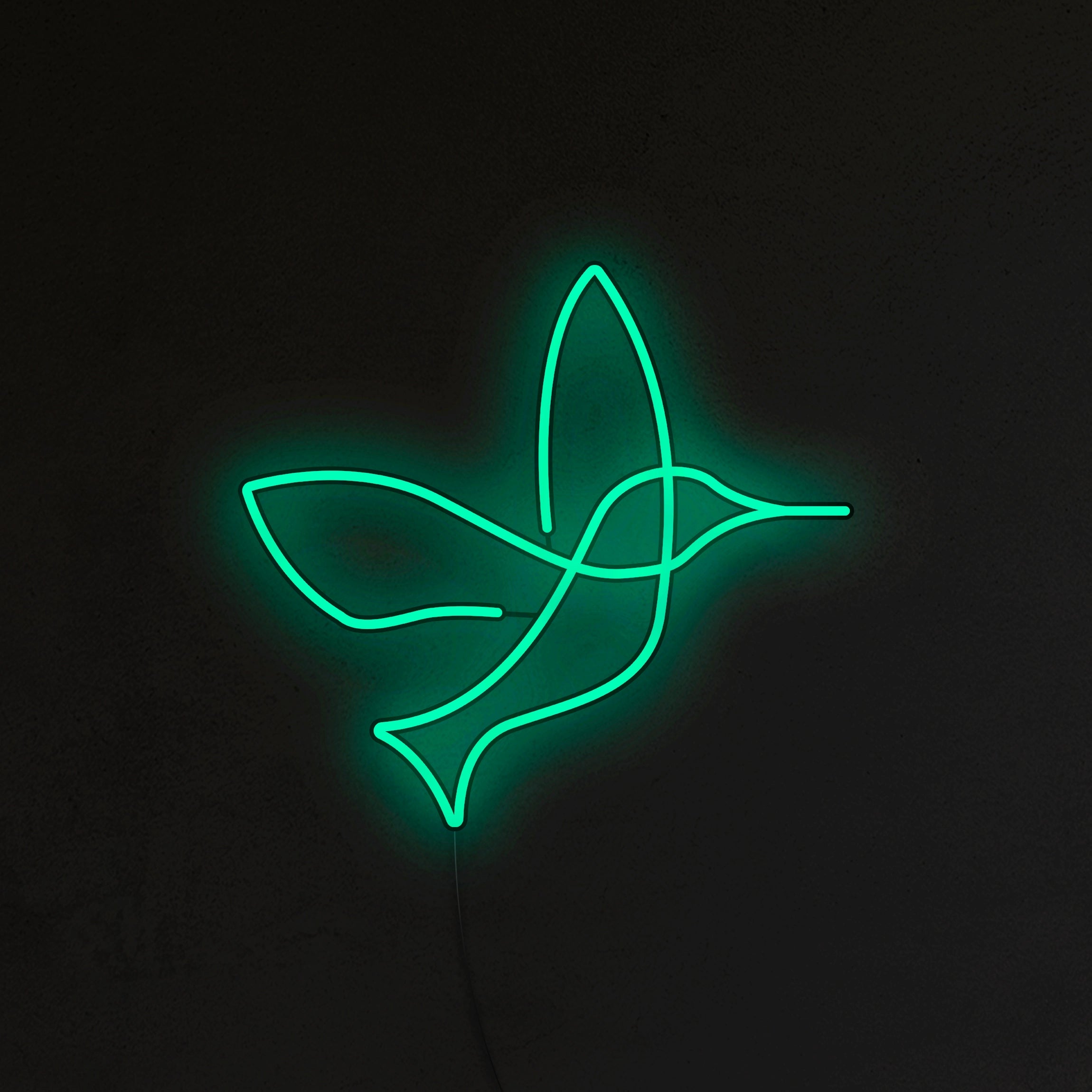 Koliber Neon LED