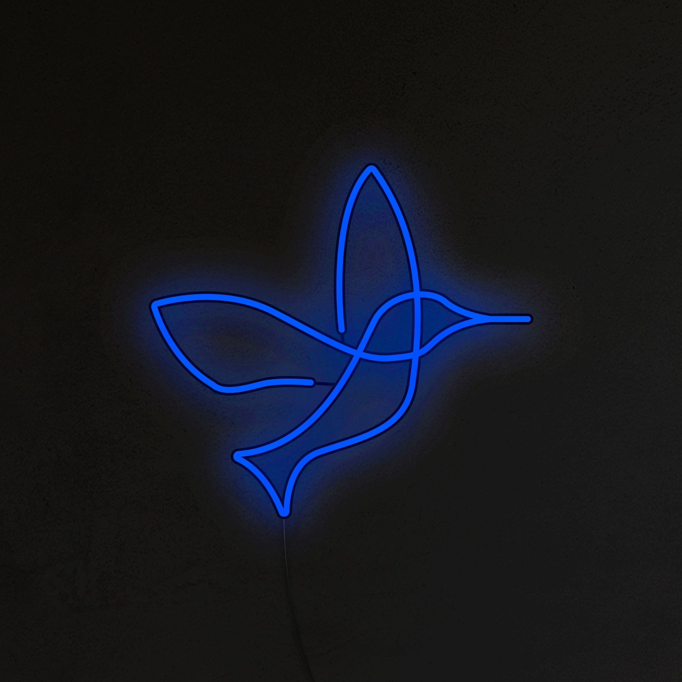 Koliber Neon LED